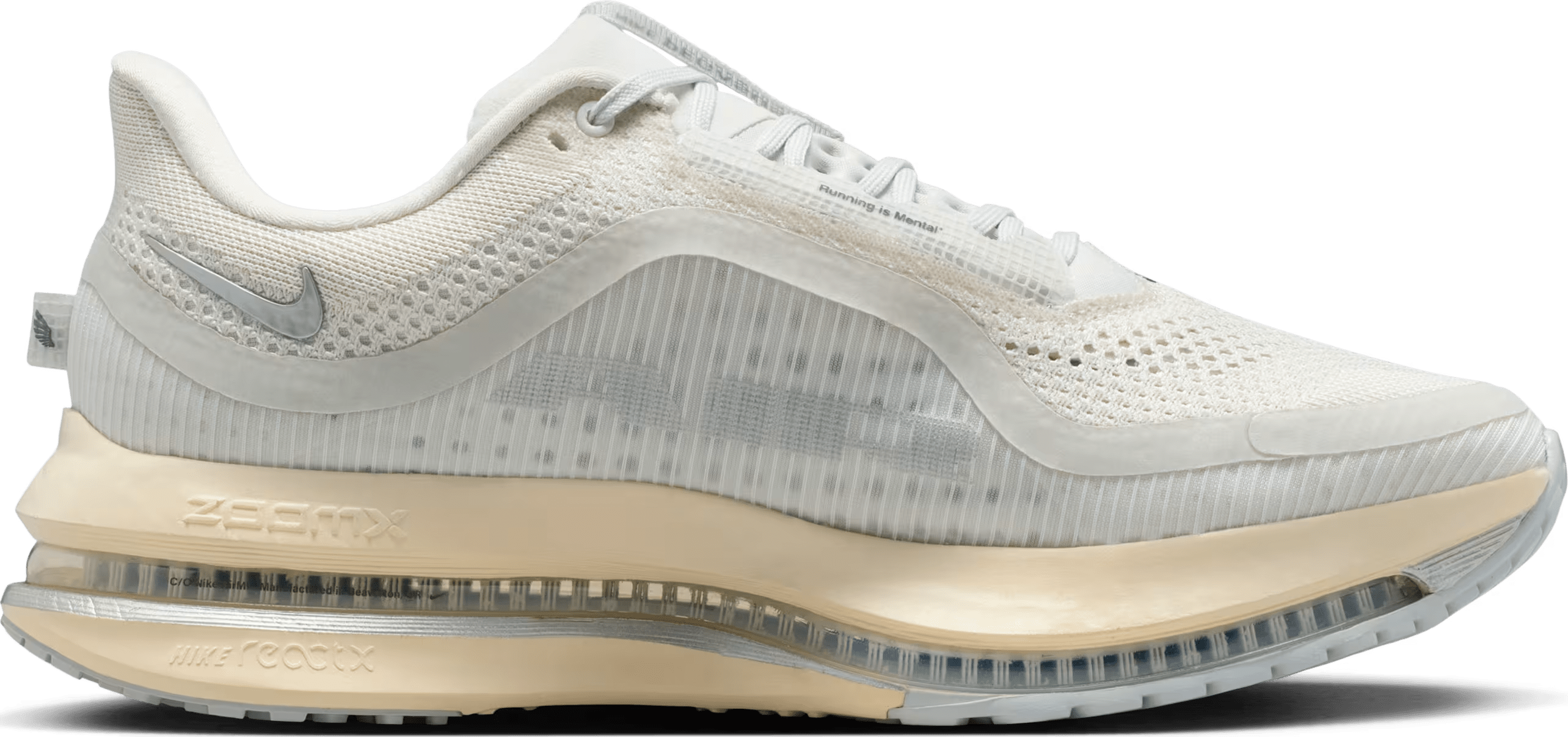 Nike Pegasus Premium "Reflect Silver"