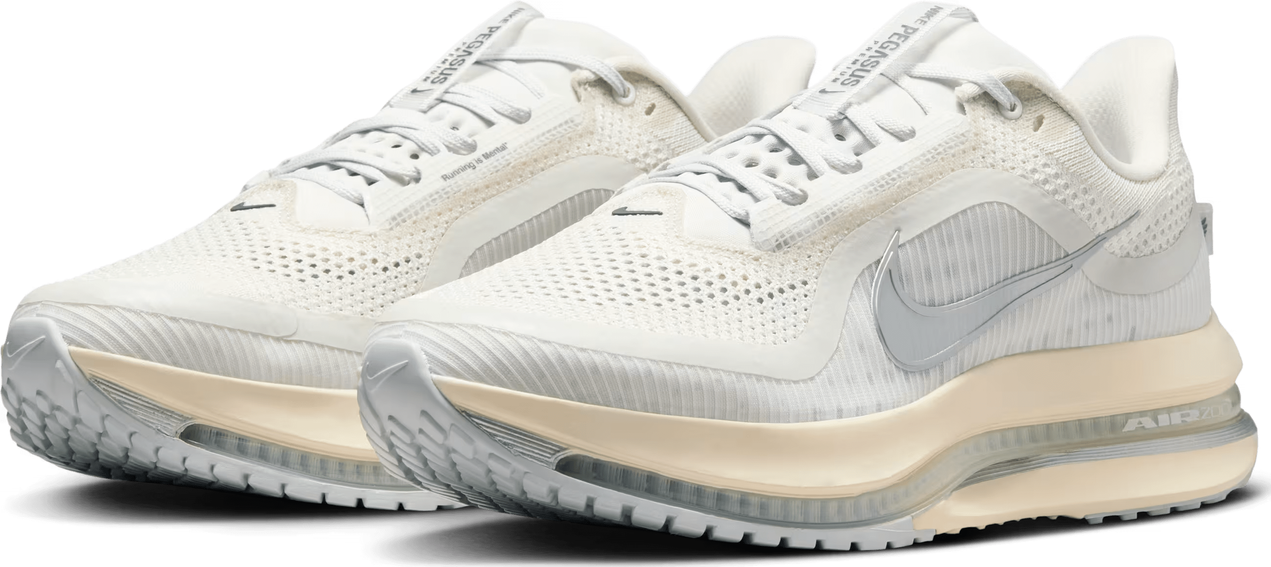 Nike Pegasus Premium "Reflect Silver"