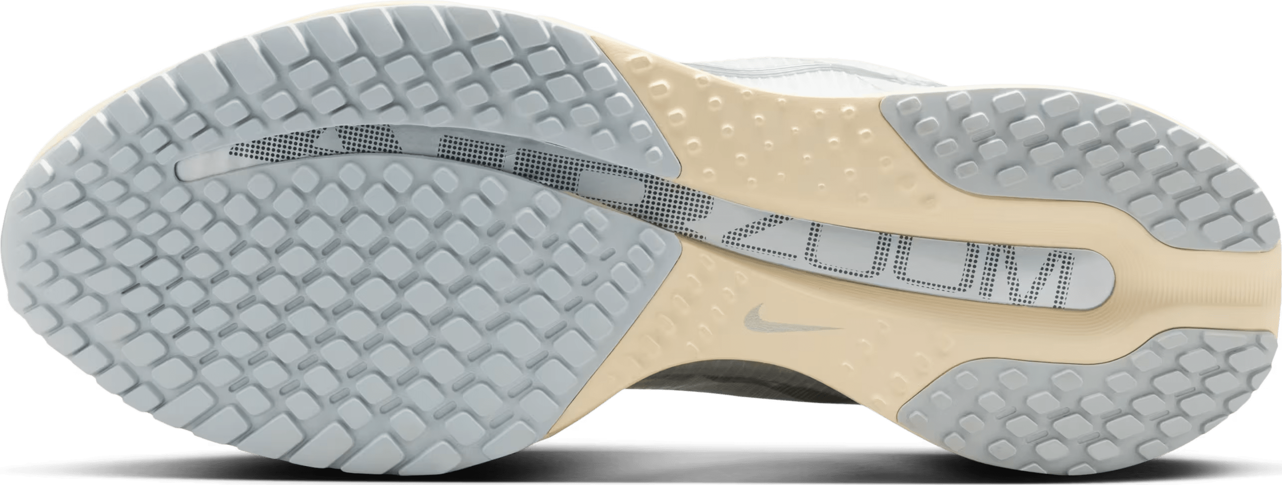 Nike Pegasus Premium "Reflect Silver"