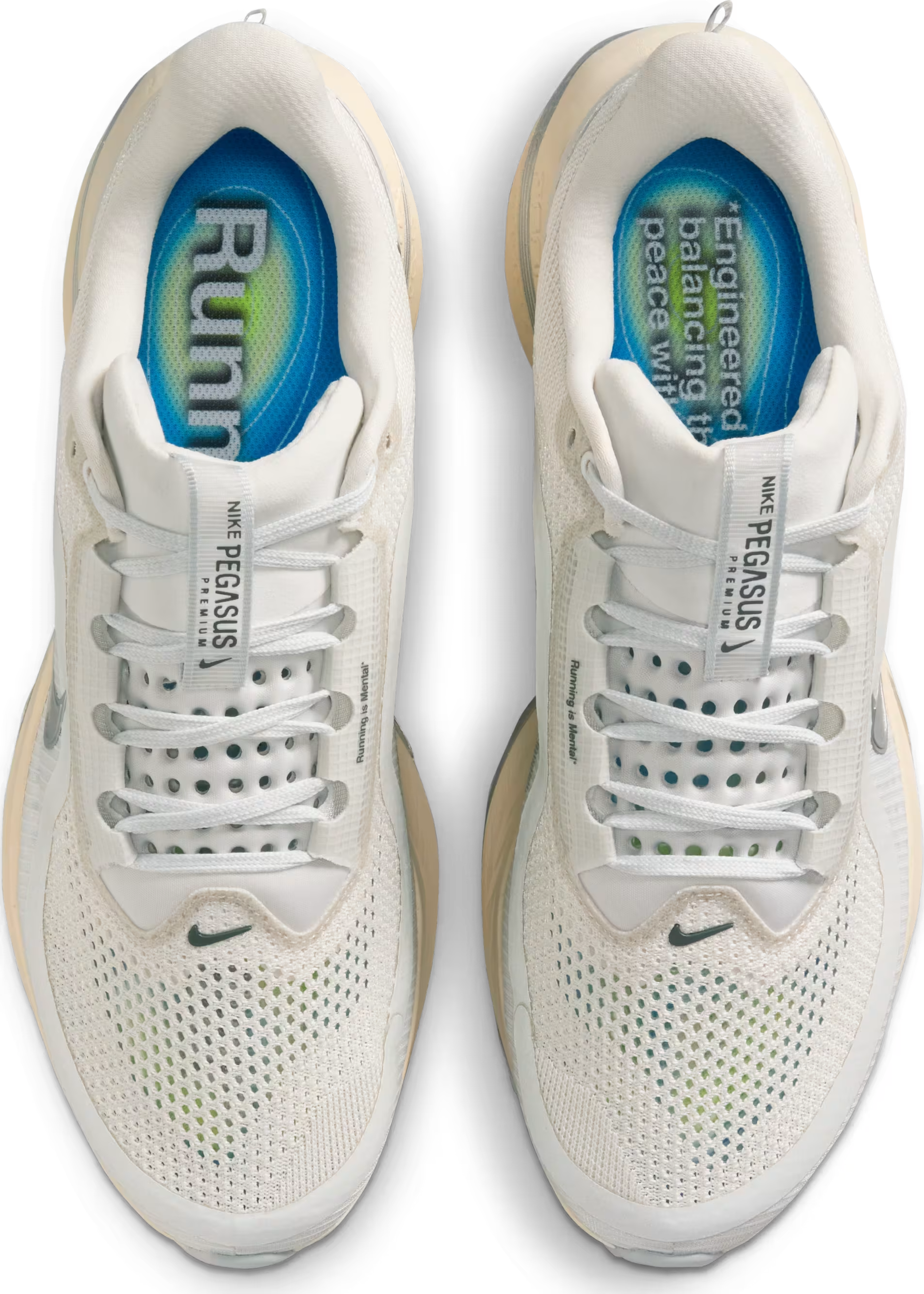 Nike Pegasus Premium "Reflect Silver"