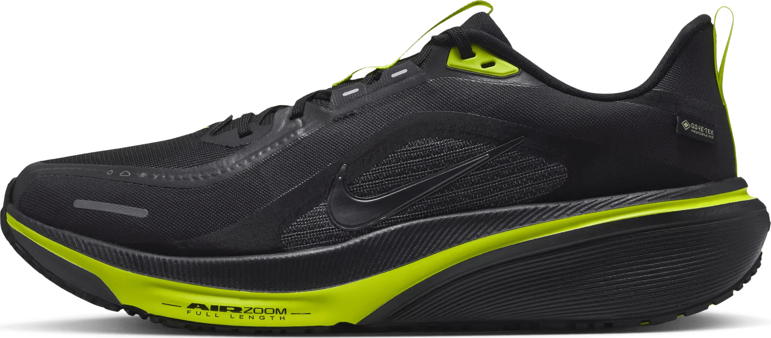 Nike Pegasus 42 GORE-TEX