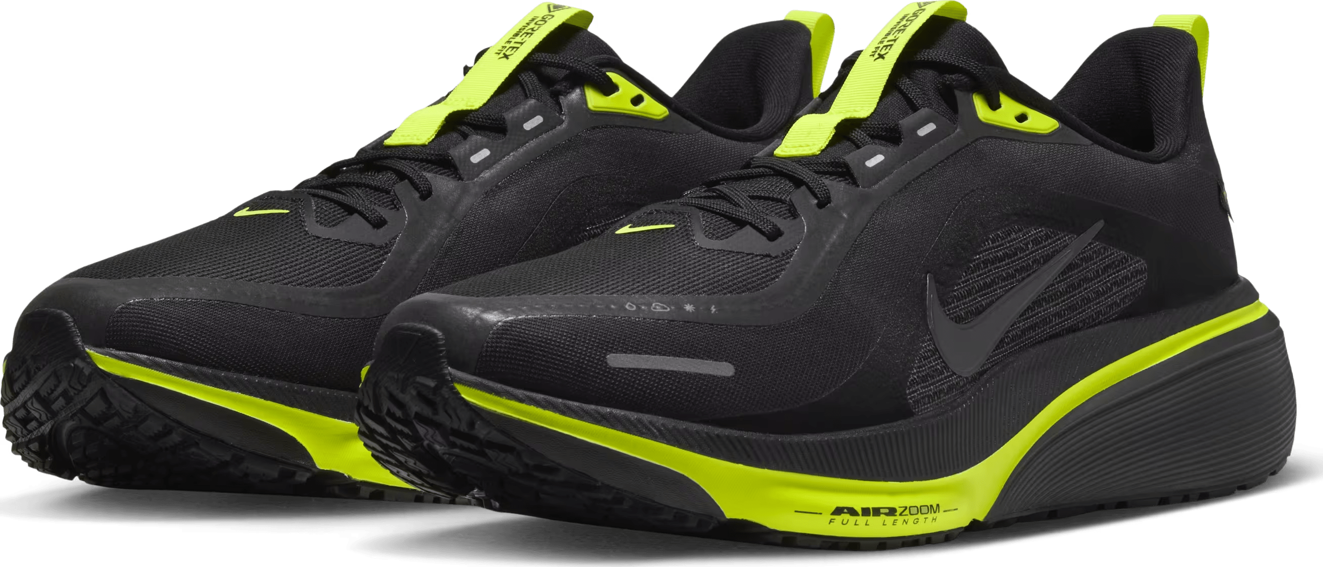 Nike Pegasus 42 GORE-TEX