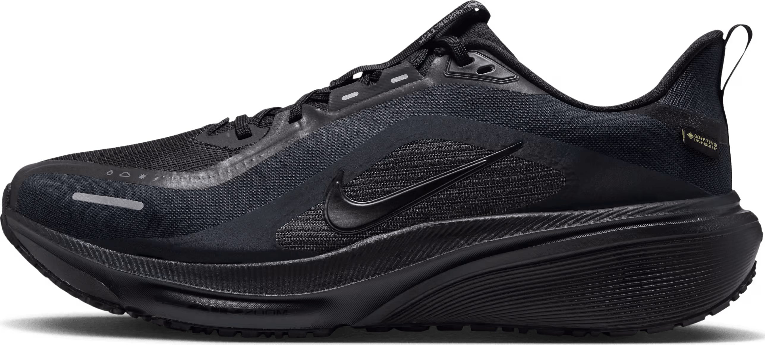 Nike Pegasus 42 GORE-TEX