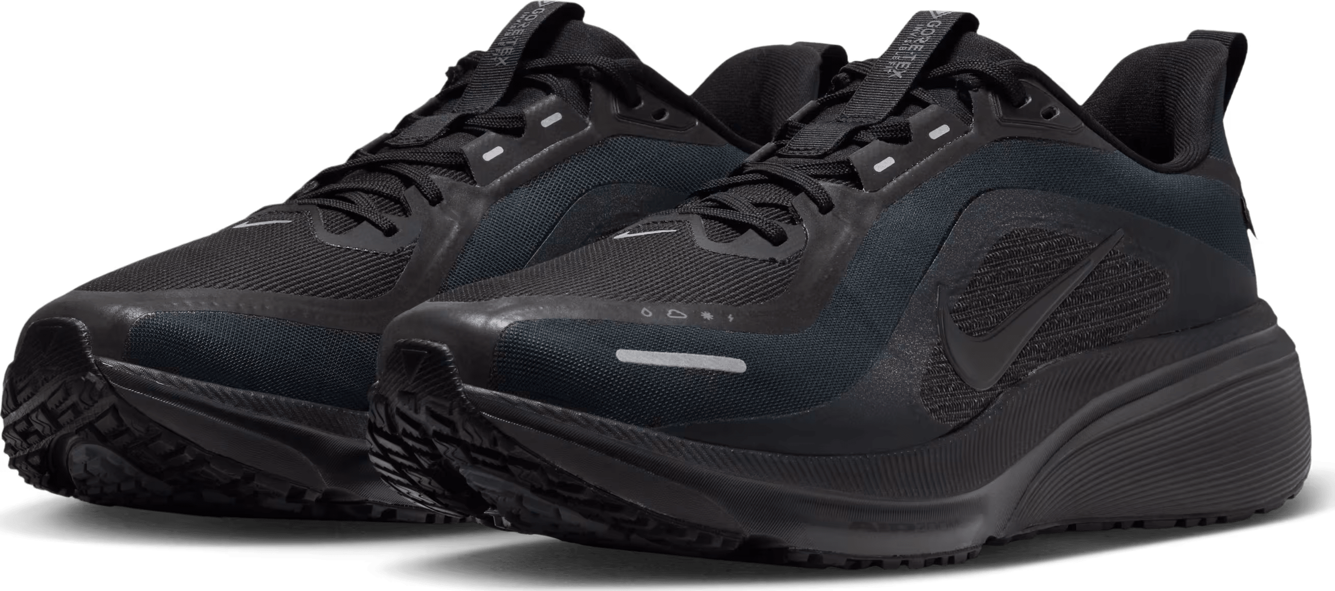 Nike Pegasus 42 GORE-TEX
