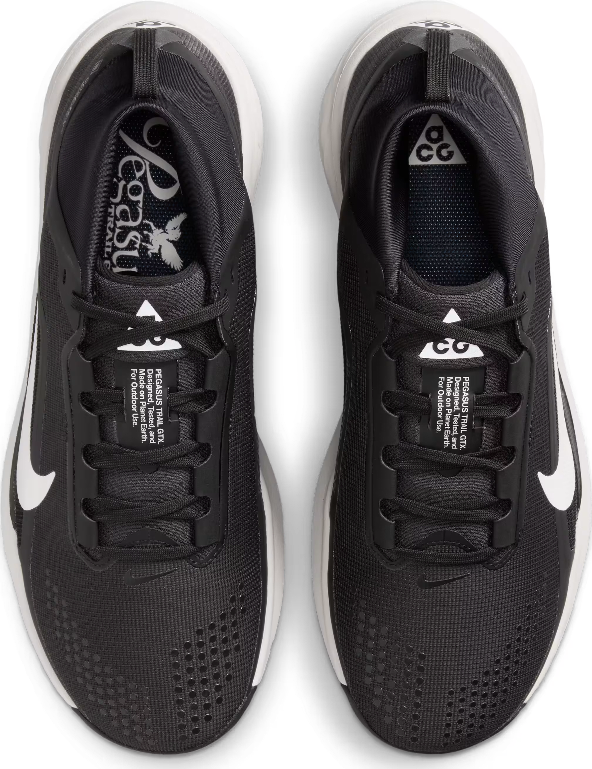 ACG Pegasus Trail GORE-TEX