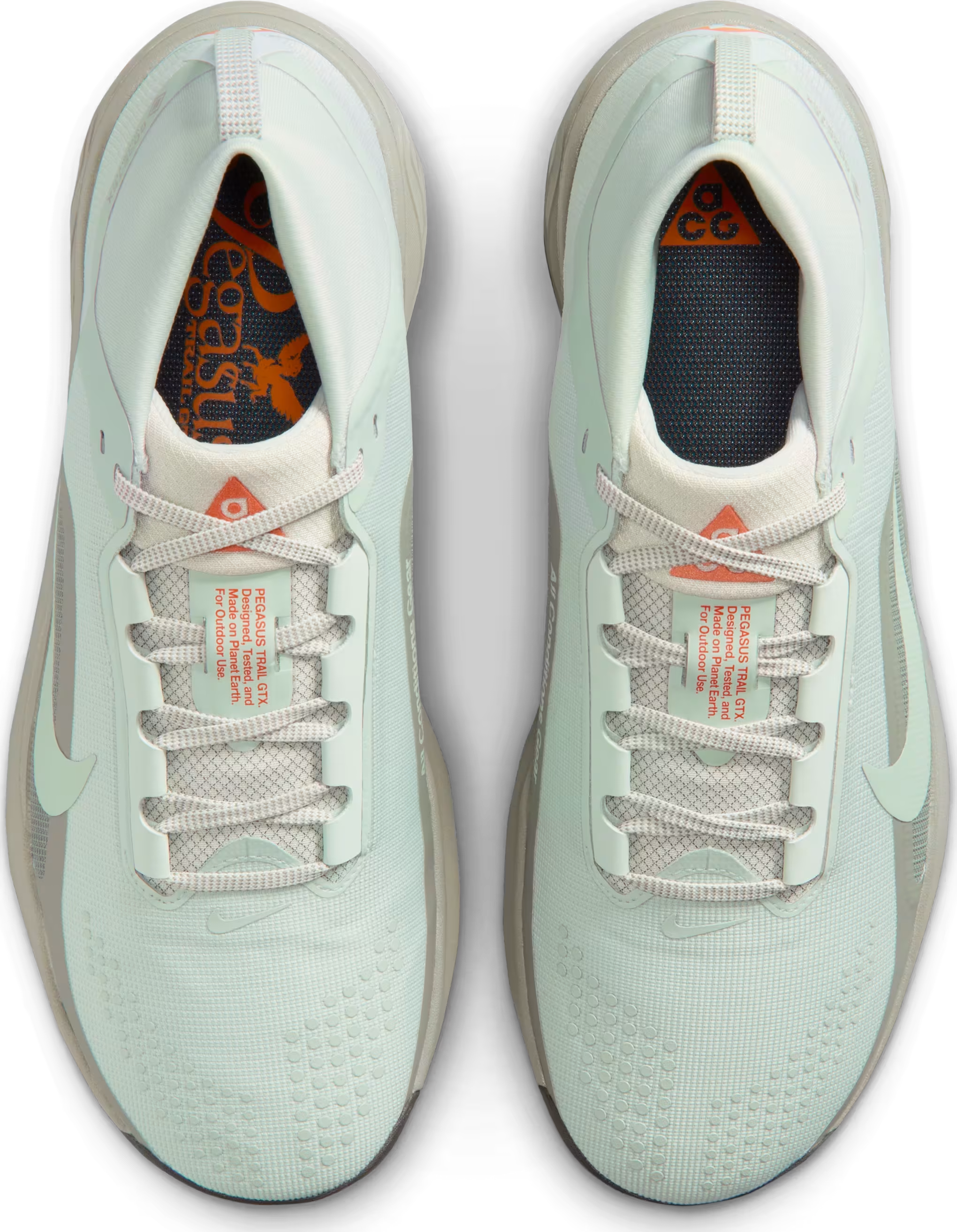 ACG Pegasus Trail GORE-TEX