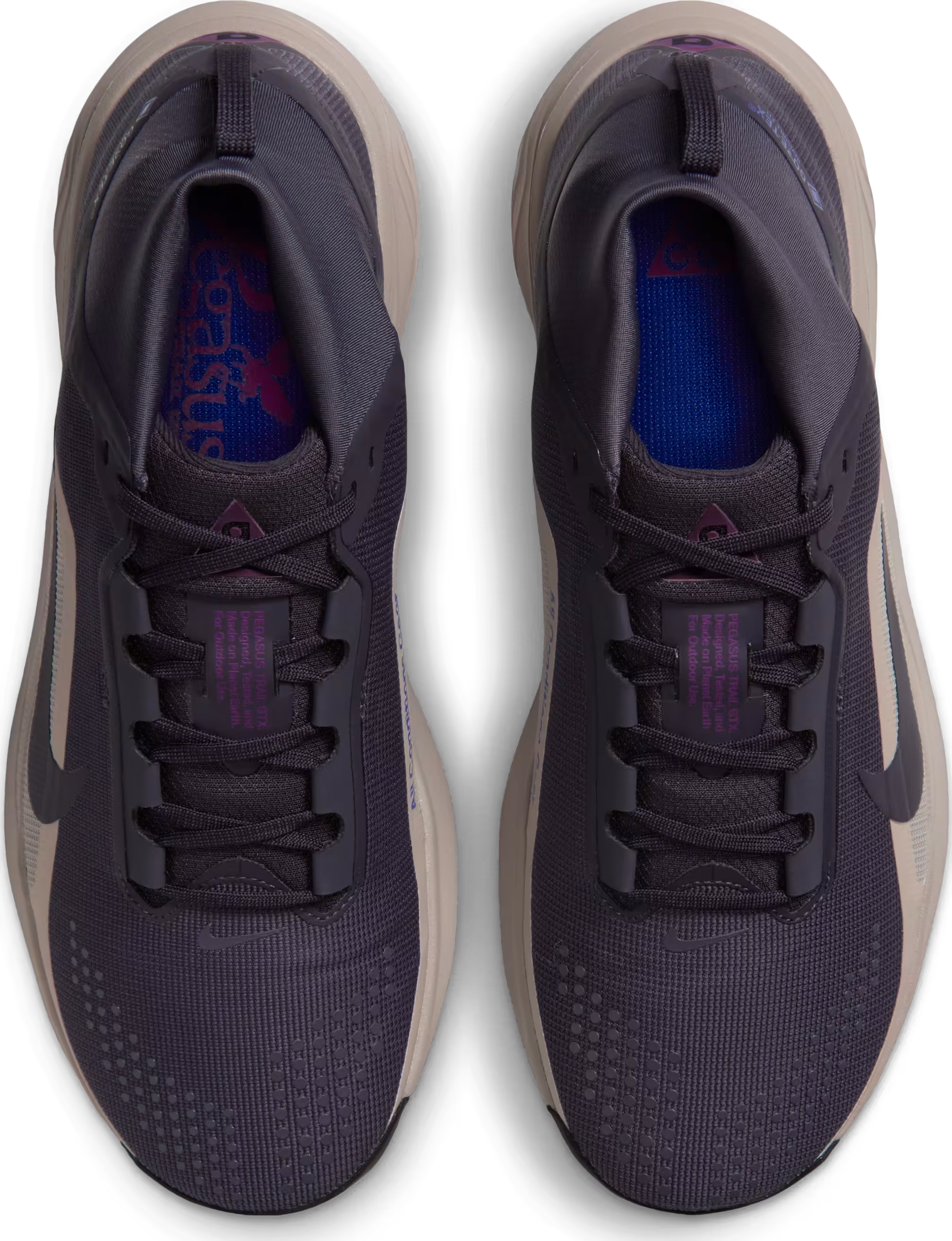 ACG Pegasus Trail GORE-TEX