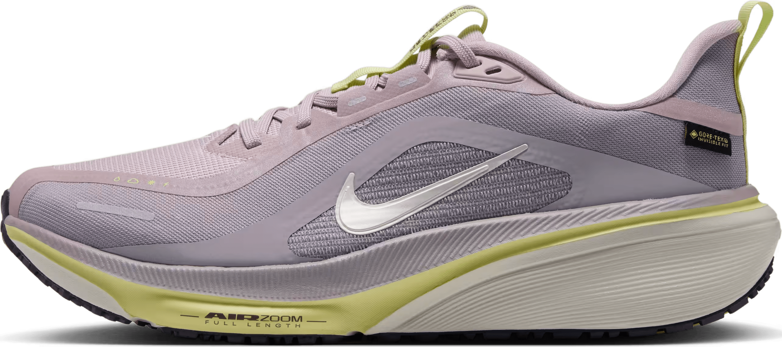 Nike Pegasus 42 GORE-TEX