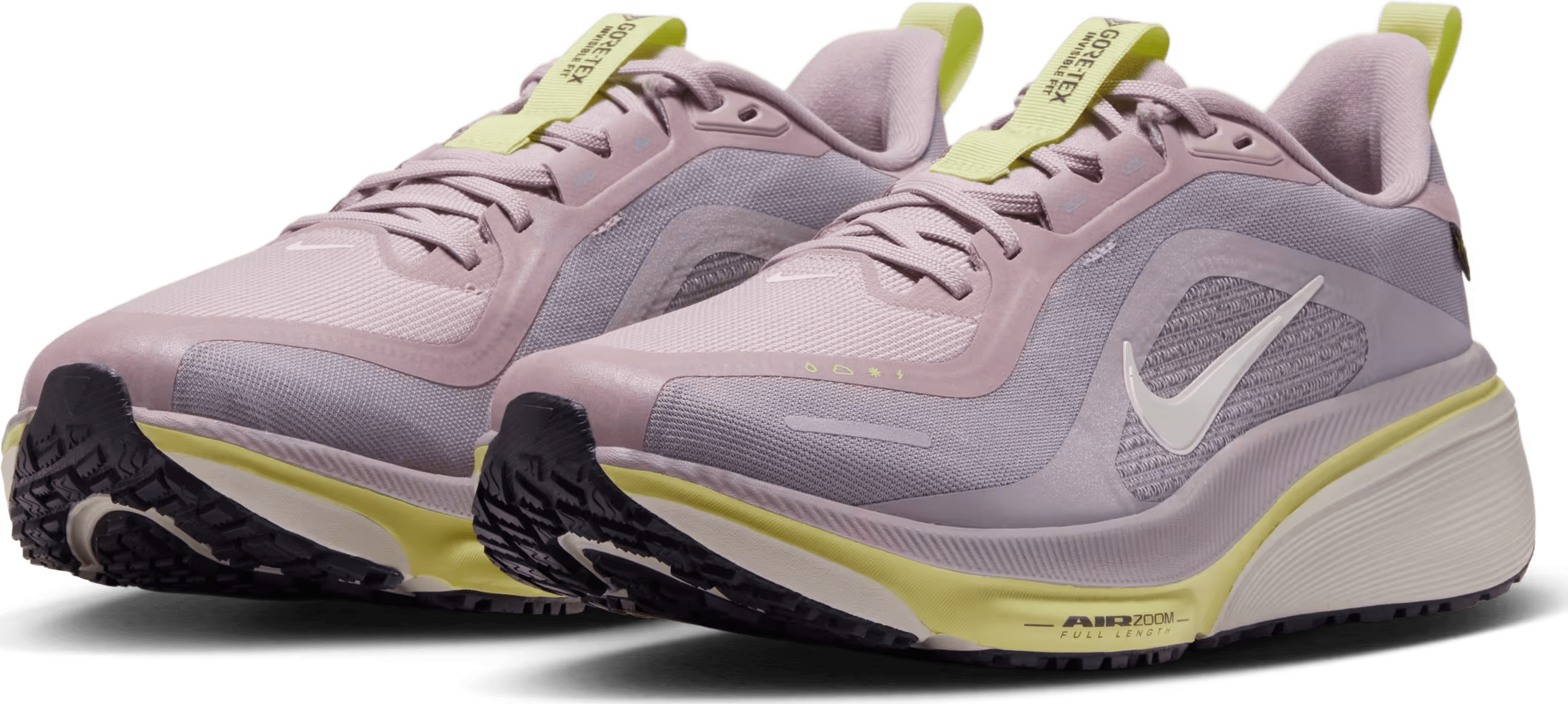Nike Pegasus 42 GORE-TEX