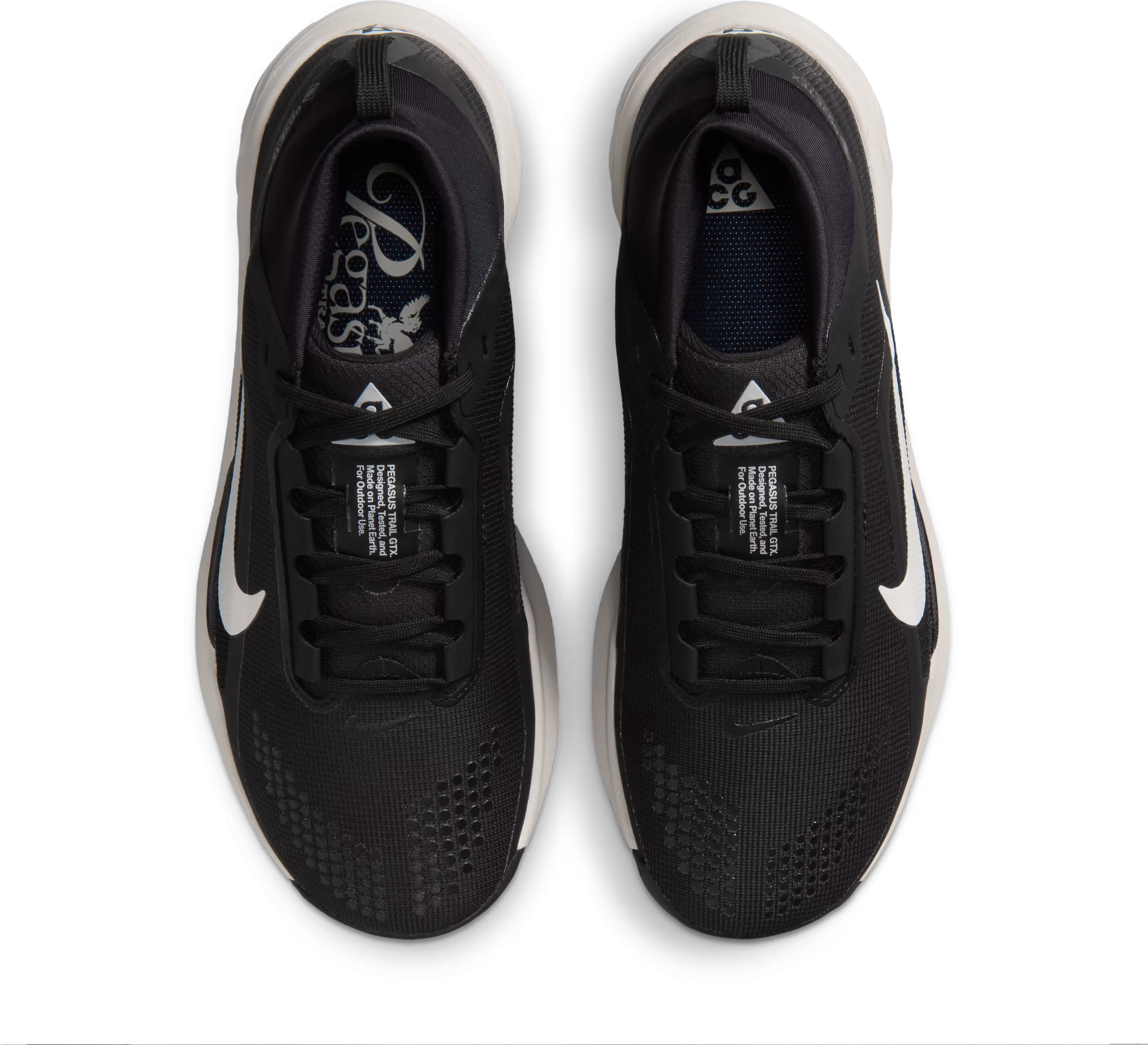ACG Pegasus Trail GORE-TEX