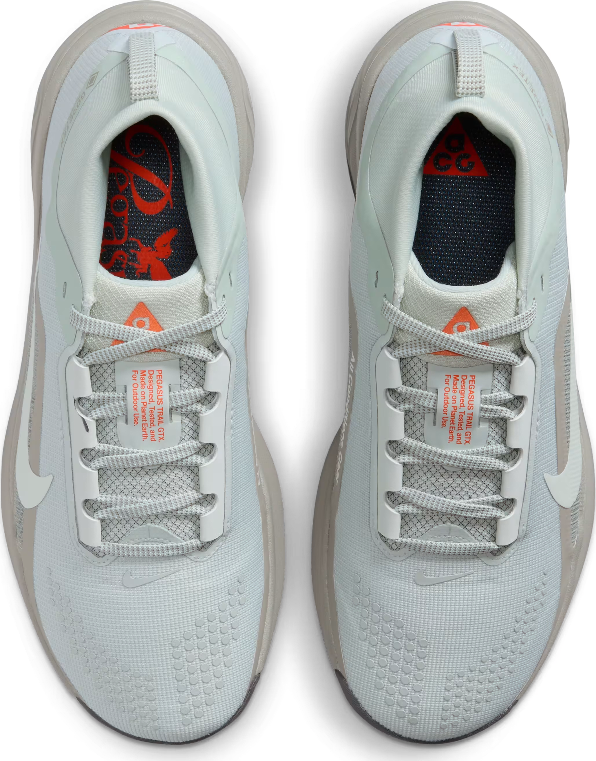 ACG Pegasus Trail GORE-TEX