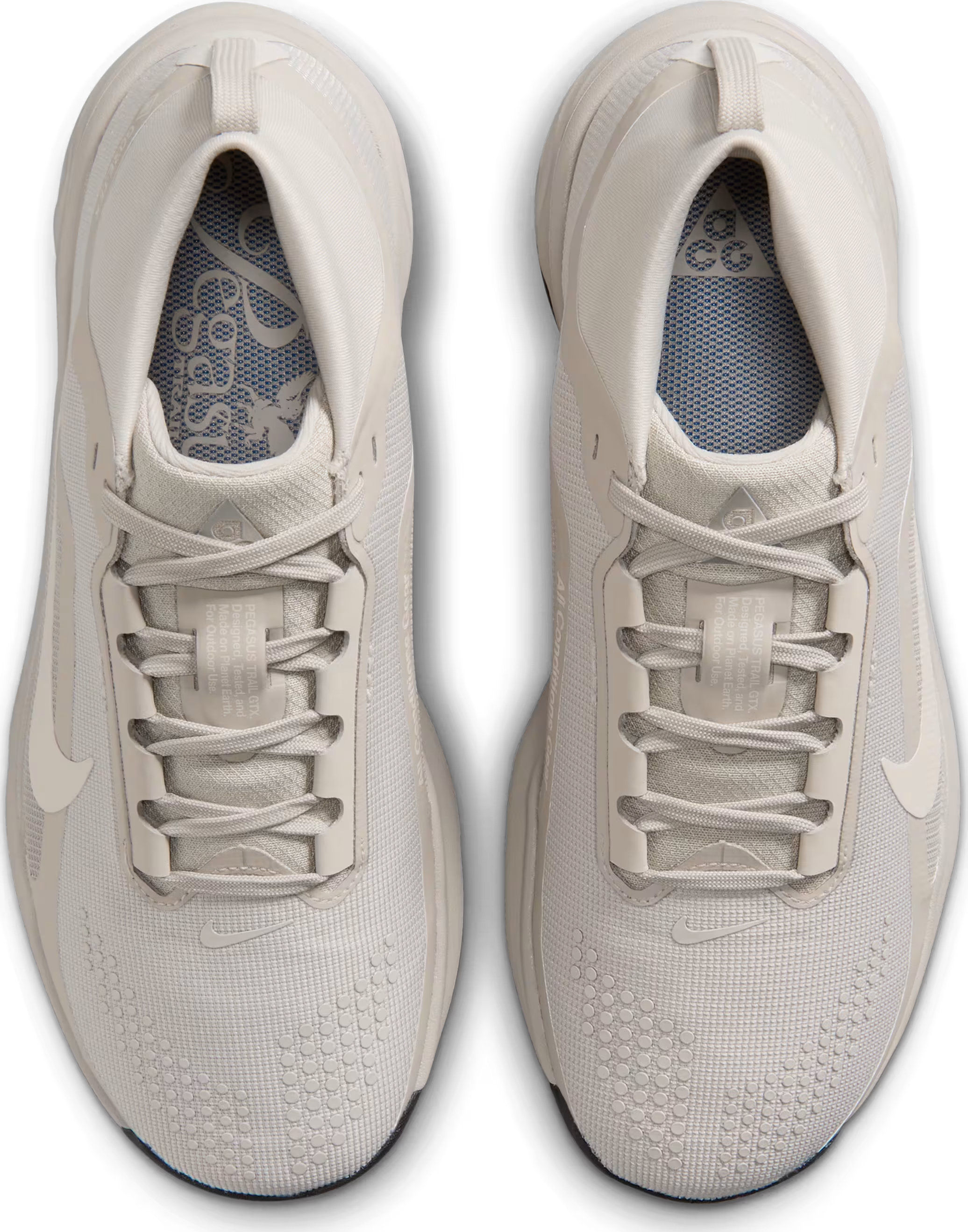 ACG Pegasus Trail GORE-TEX