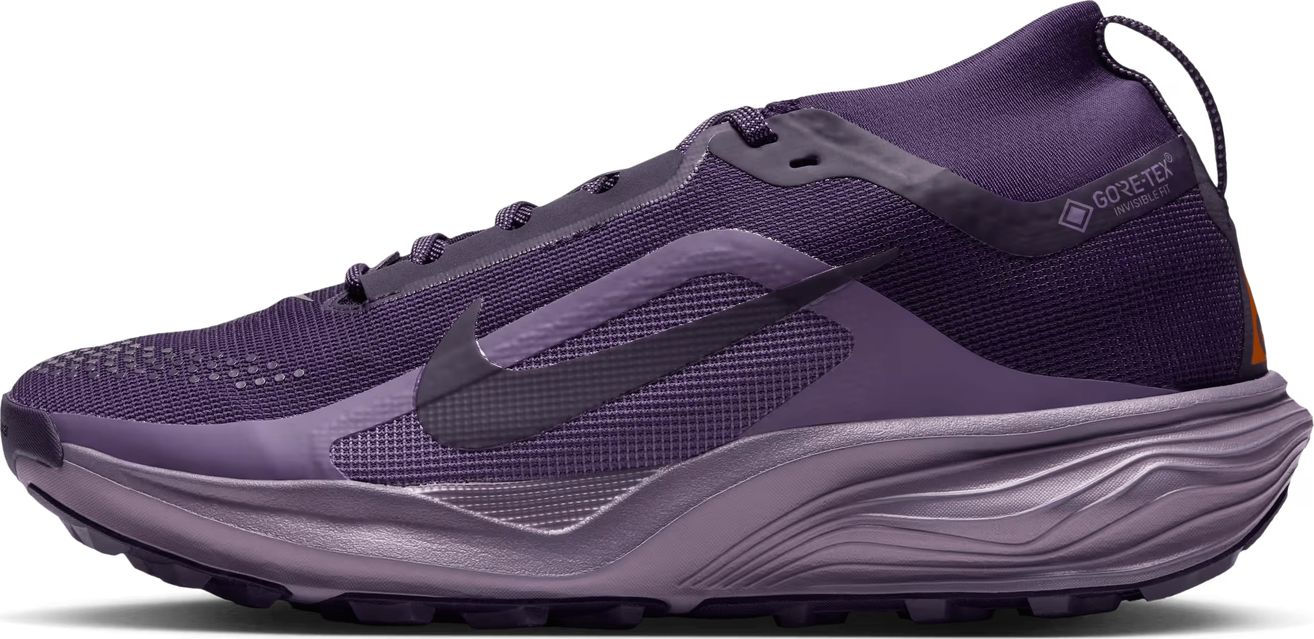 ACG Pegasus Trail GORE-TEX