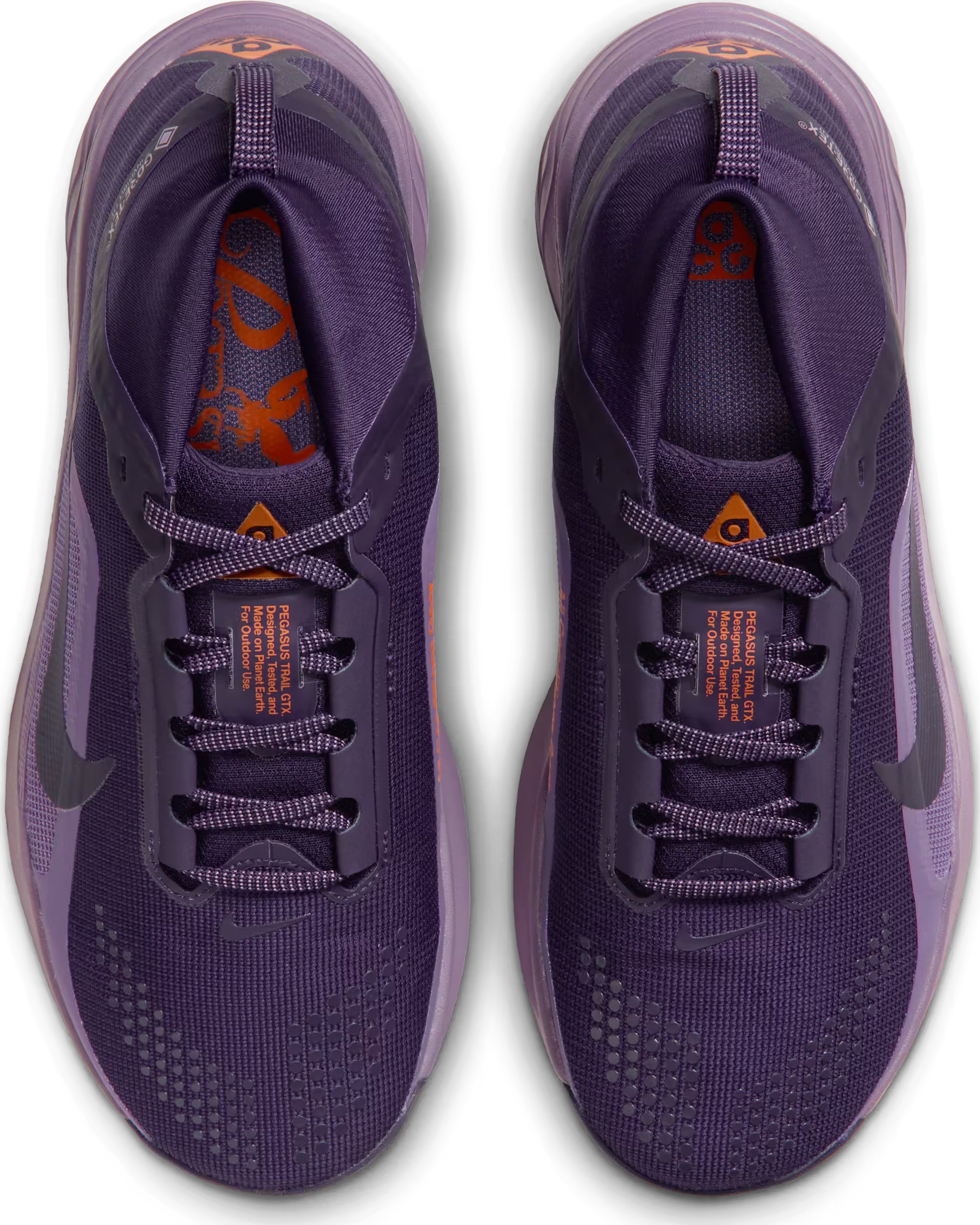 ACG Pegasus Trail GORE-TEX