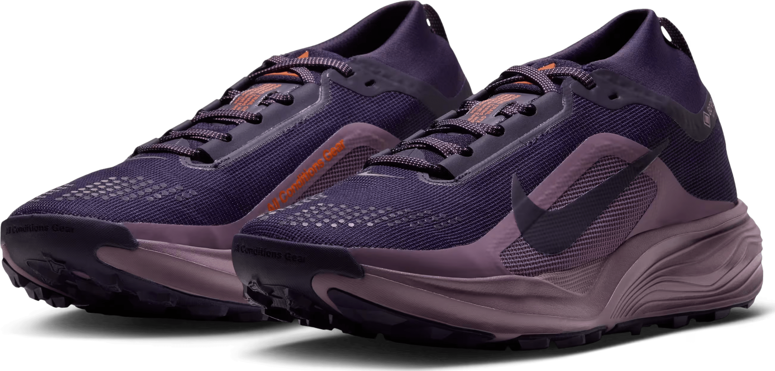 ACG Pegasus Trail GORE-TEX