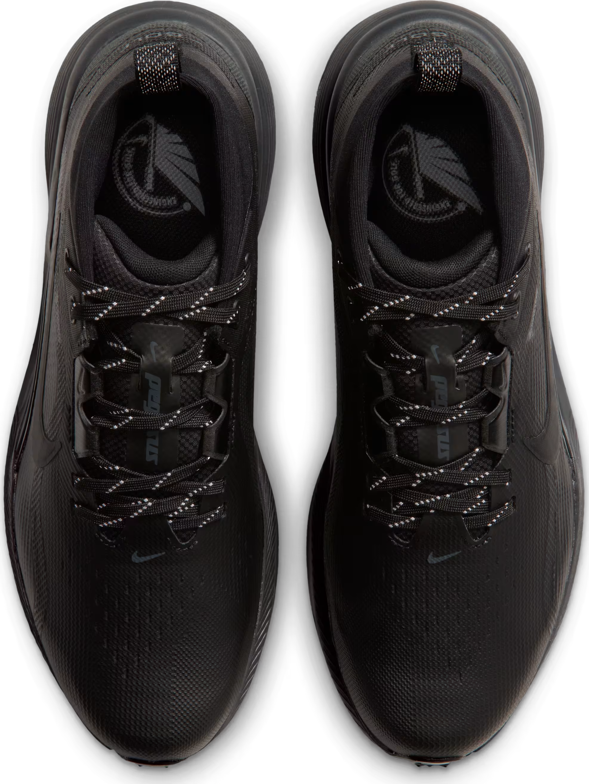 Nike Pegasus 1 G GORE-TEX