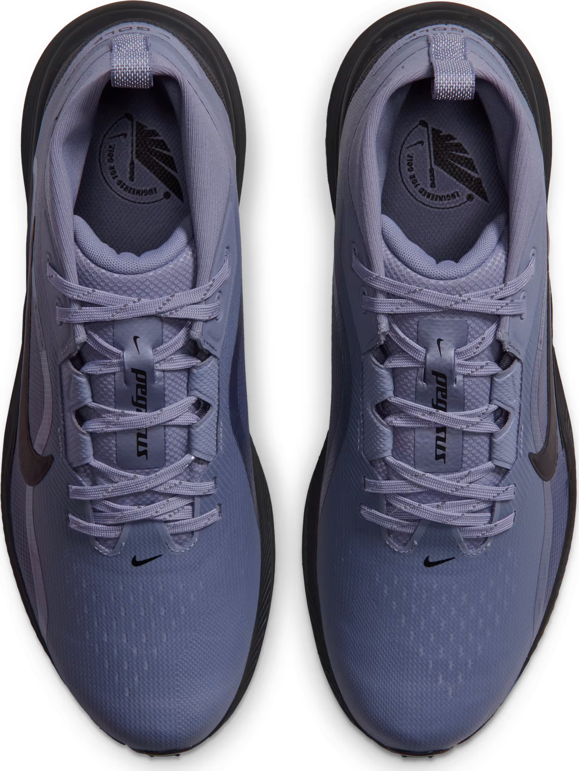 Nike Pegasus 1 G GORE-TEX