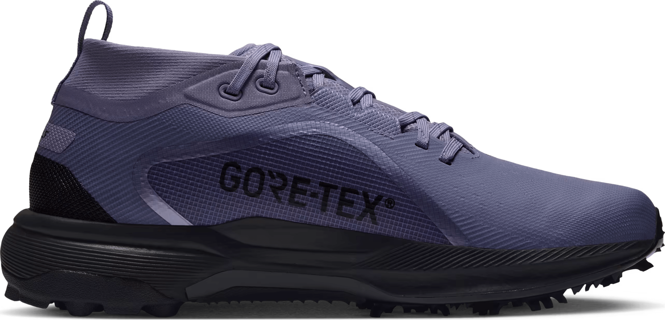 Nike Pegasus 1 G GORE-TEX