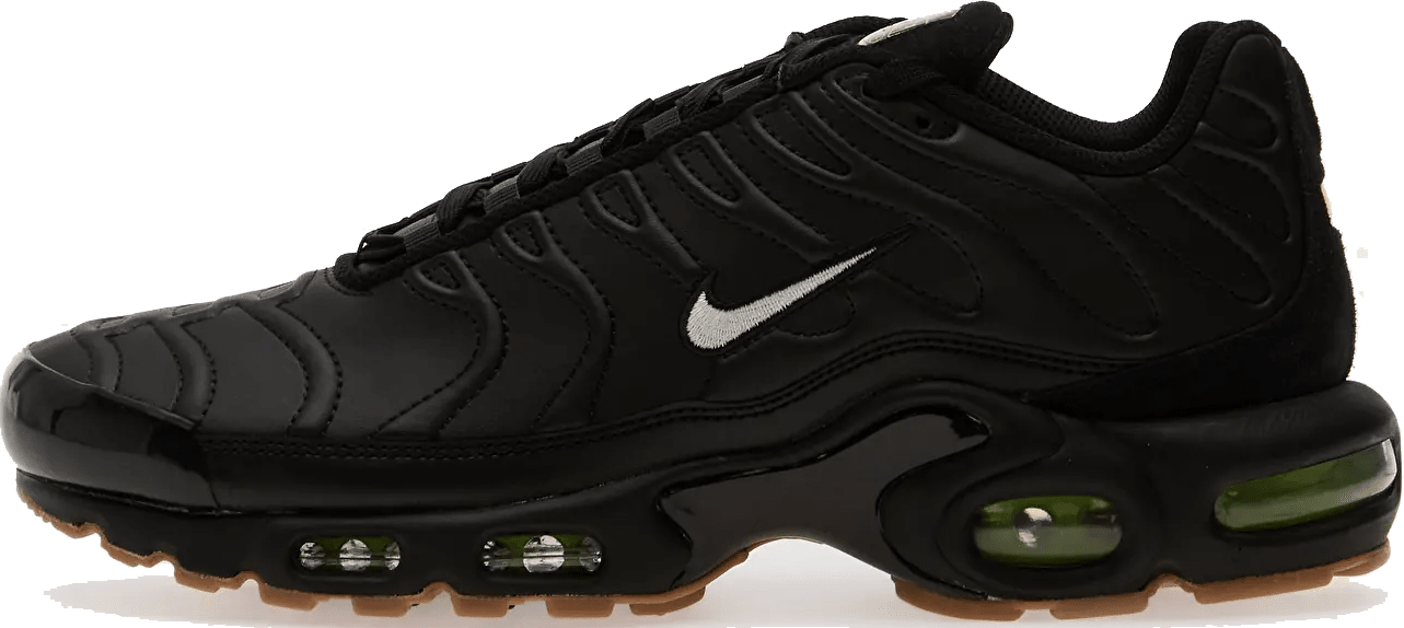 Nike Air Max Plus "Premier"