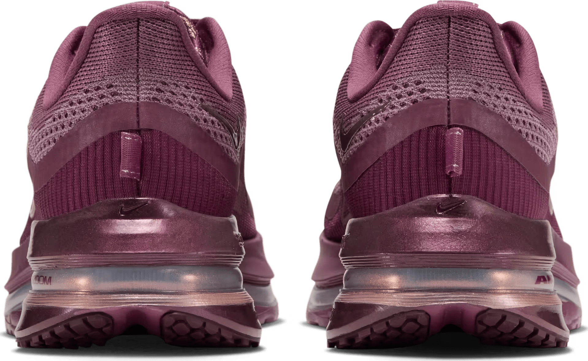 Nike Pegasus Premium Wmns "Metallic Red Bronze"