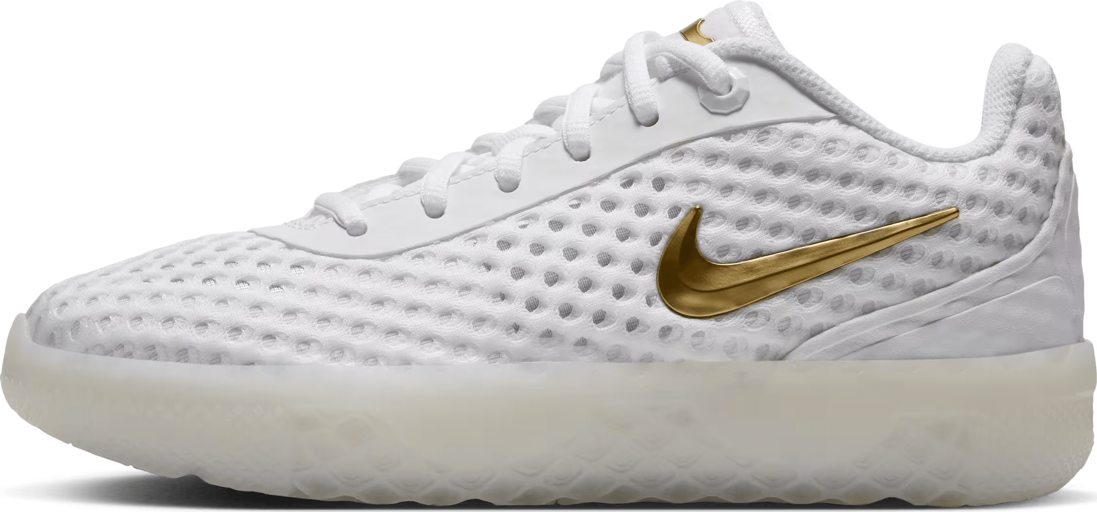 LeBron Witness X