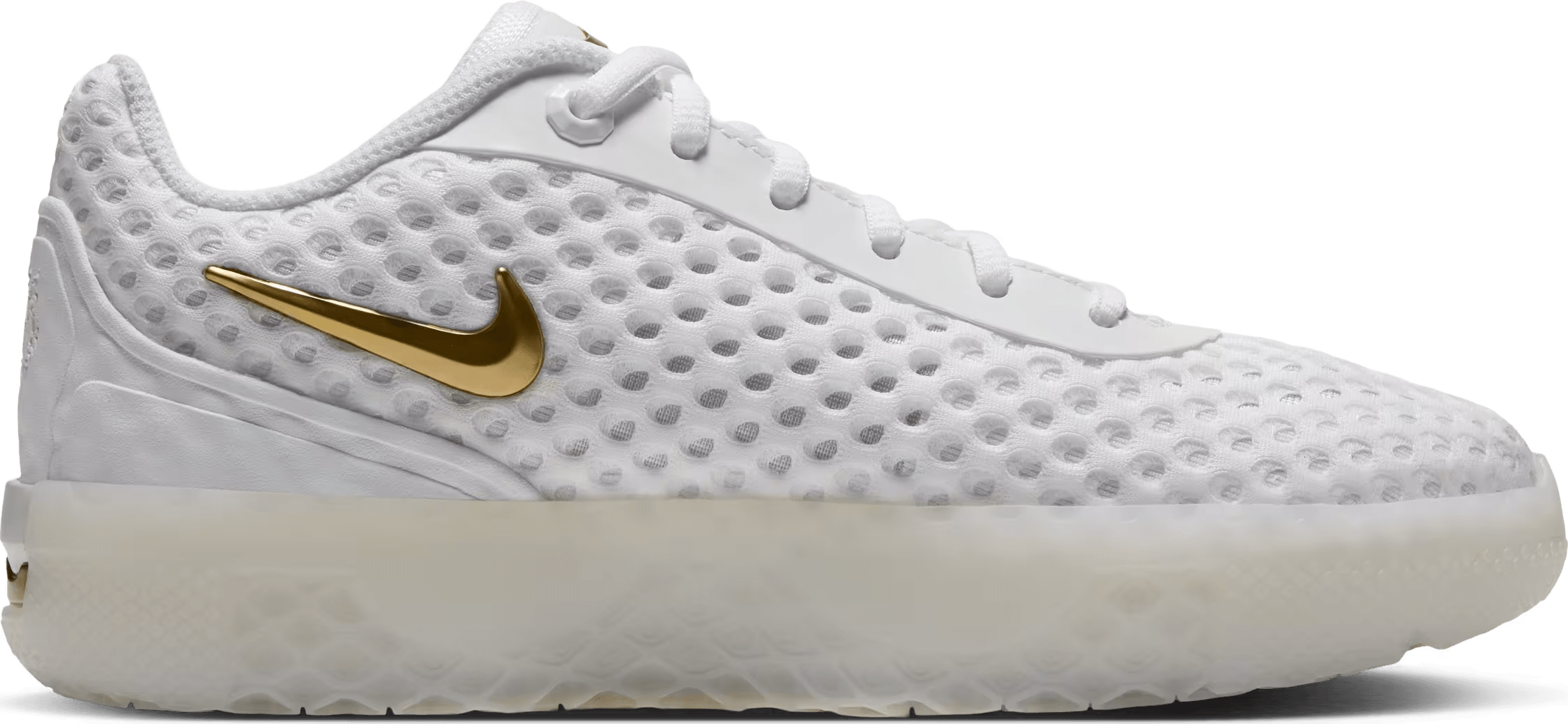 LeBron Witness X