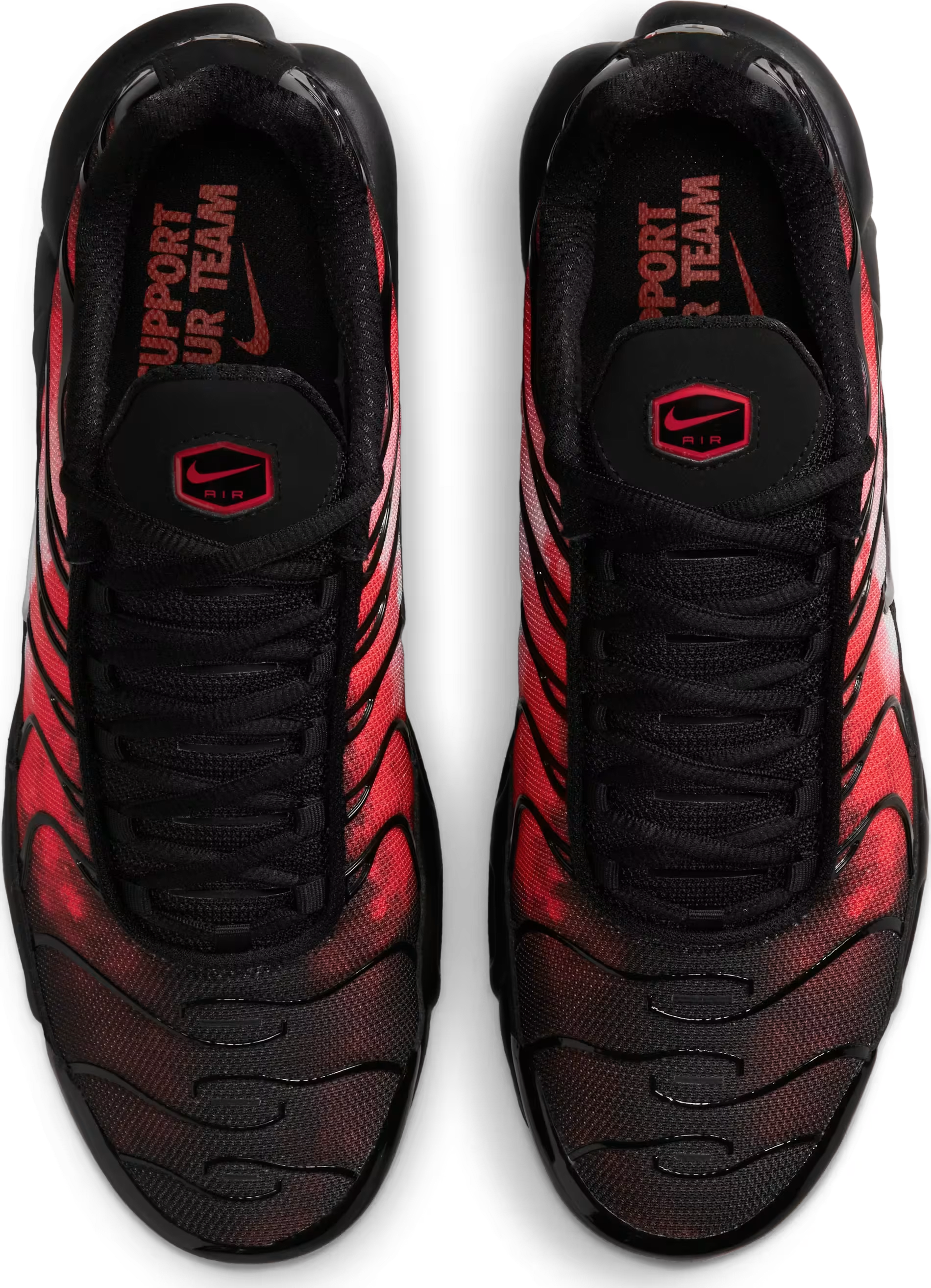 Nike Air Max Plus "Flairemax"