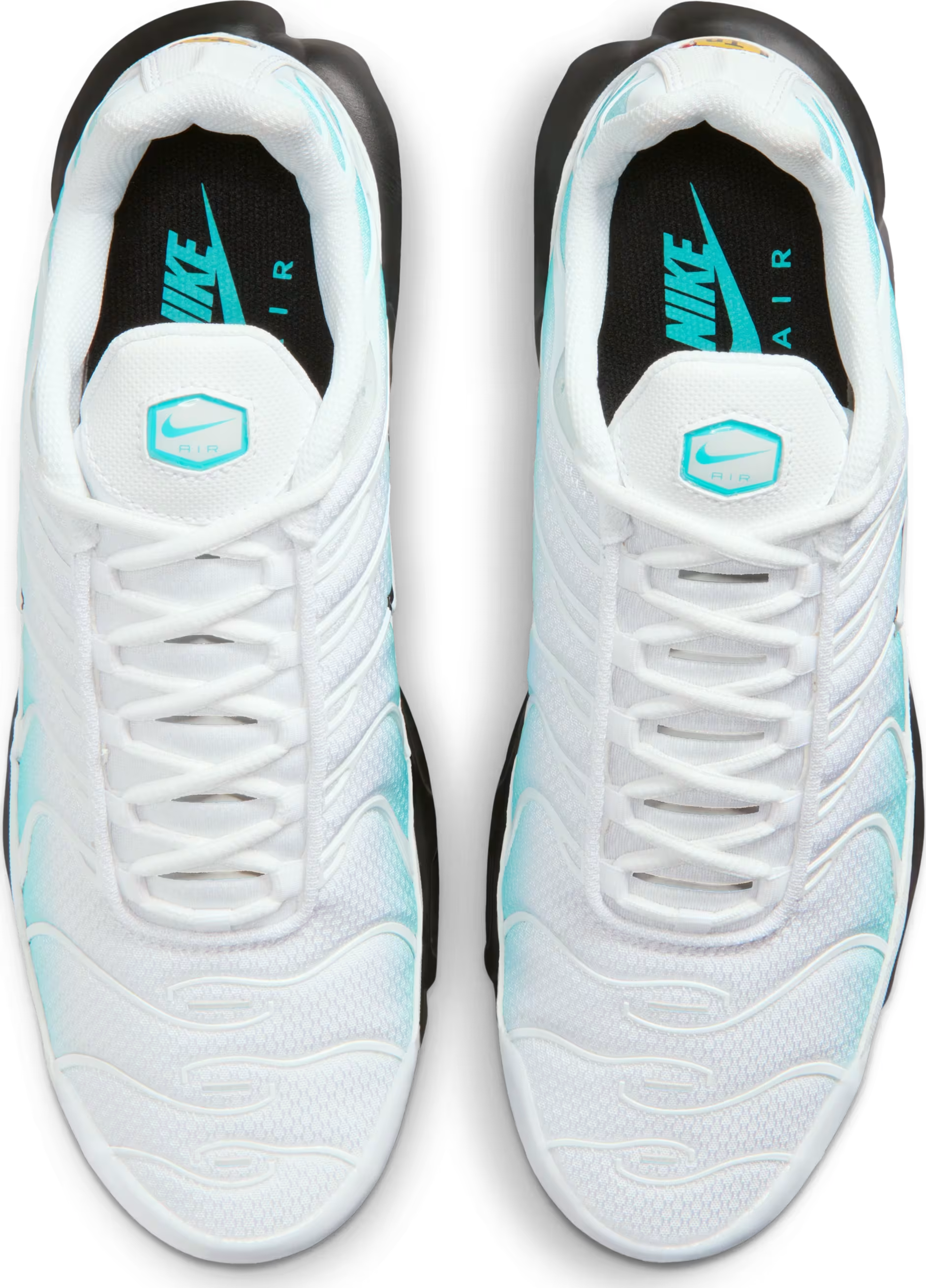 Nike Air Max Plus "Dusty Cactus"