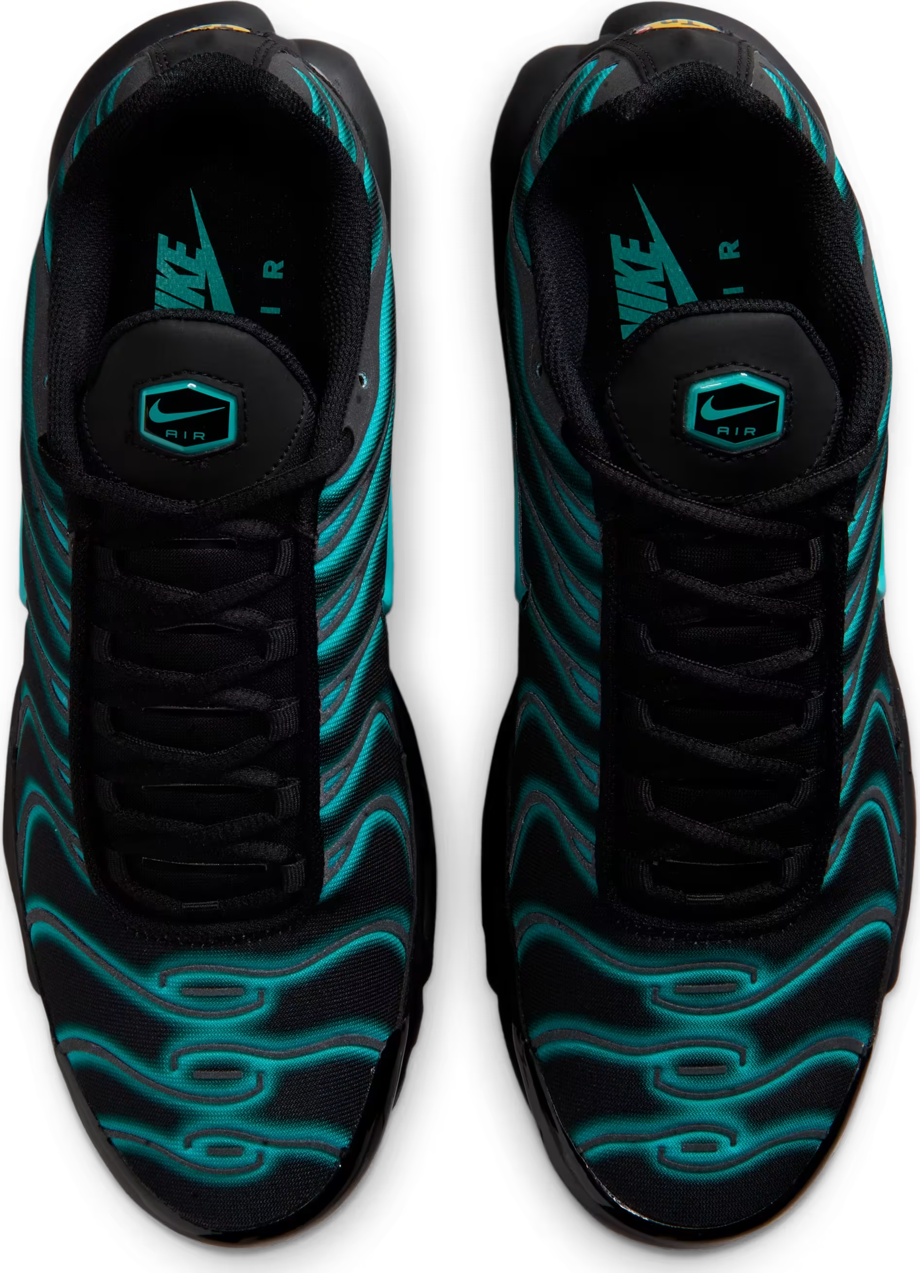Nike Air Max Plus "Black Dusty Cactus"
