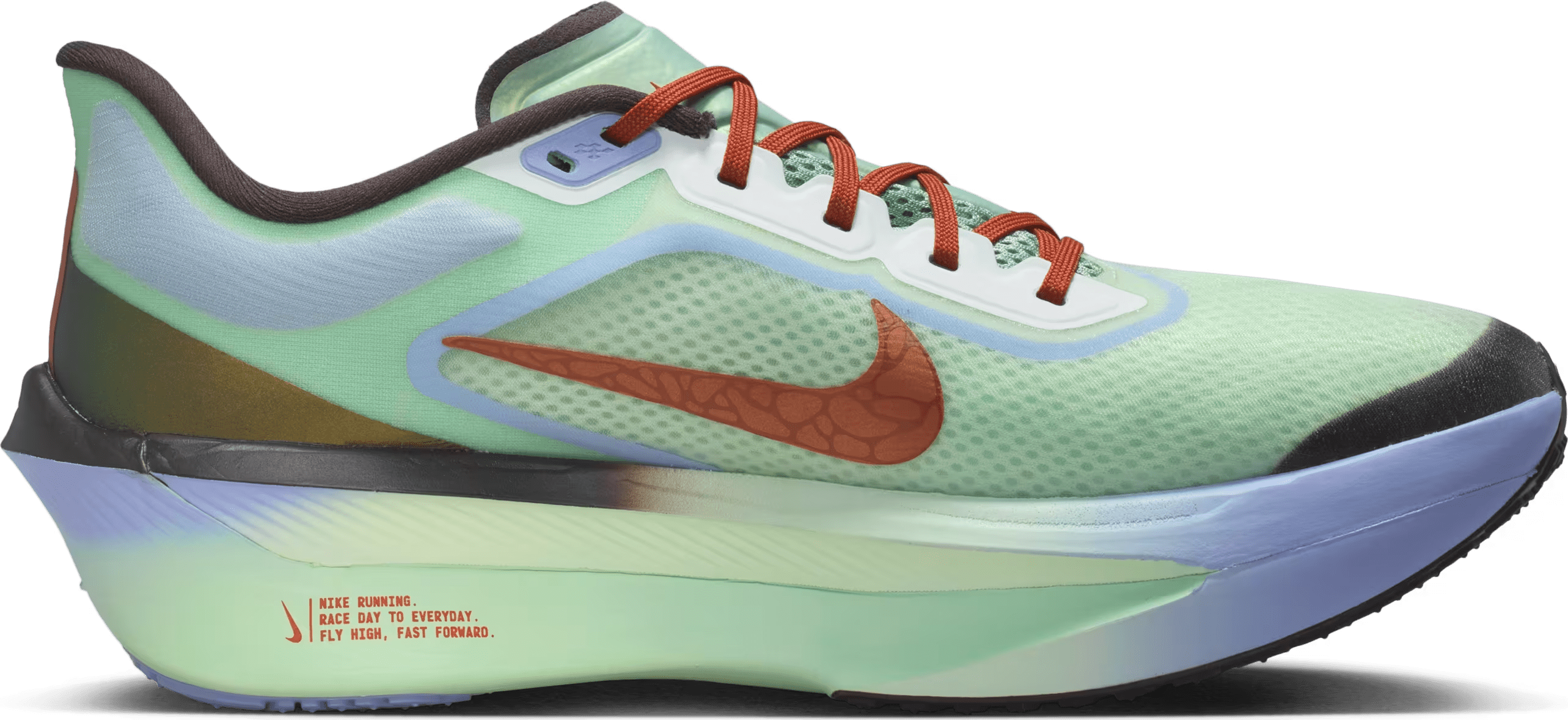 Nike Zoom Fly 6