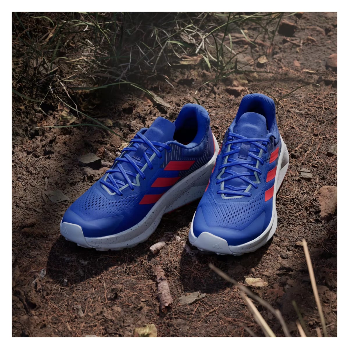 adidas Terrex Soulstride Flow Trail Dash Grey Pure Ruby Semi Lucid Blue