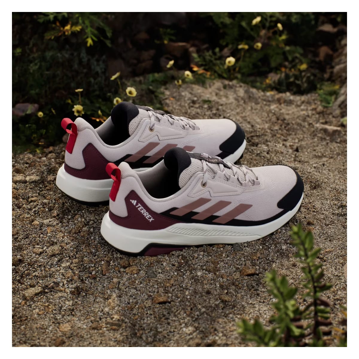 adidas Terrex Anylander Putty Mauve Warm Clay Pure Ruby (Women's)