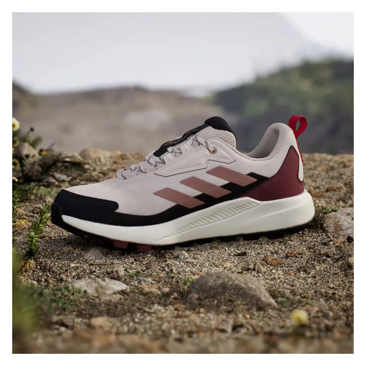adidas Terrex Anylander Putty Mauve Warm Clay Pure Ruby (Women's)