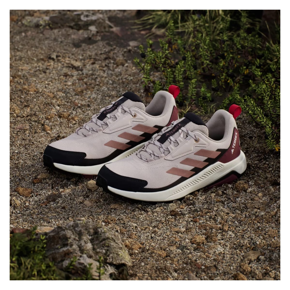 adidas Terrex Anylander Putty Mauve Warm Clay Pure Ruby (Women's)