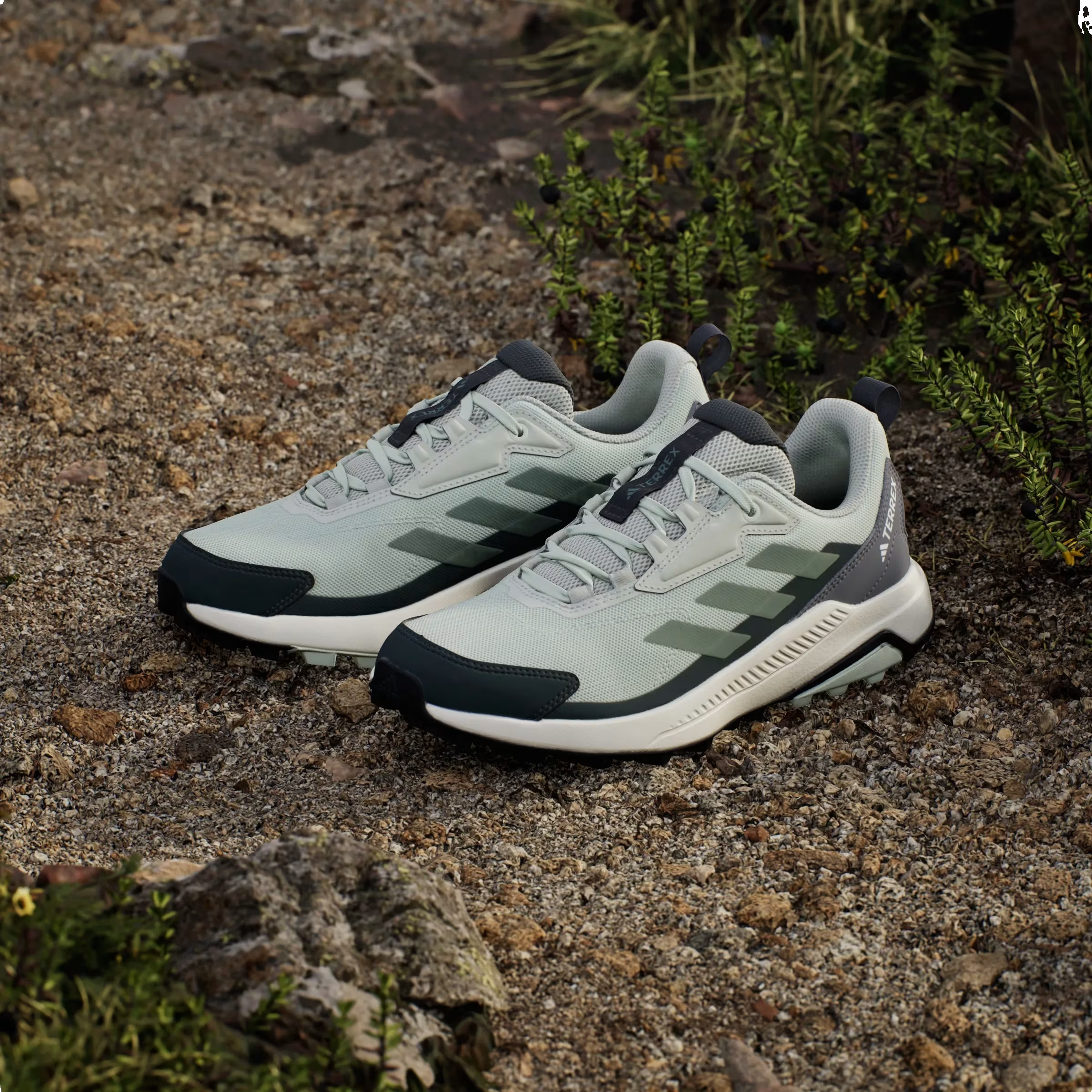 adidas Terrex Anylander Linen Green Silver Green Legend Ivy (Women's)