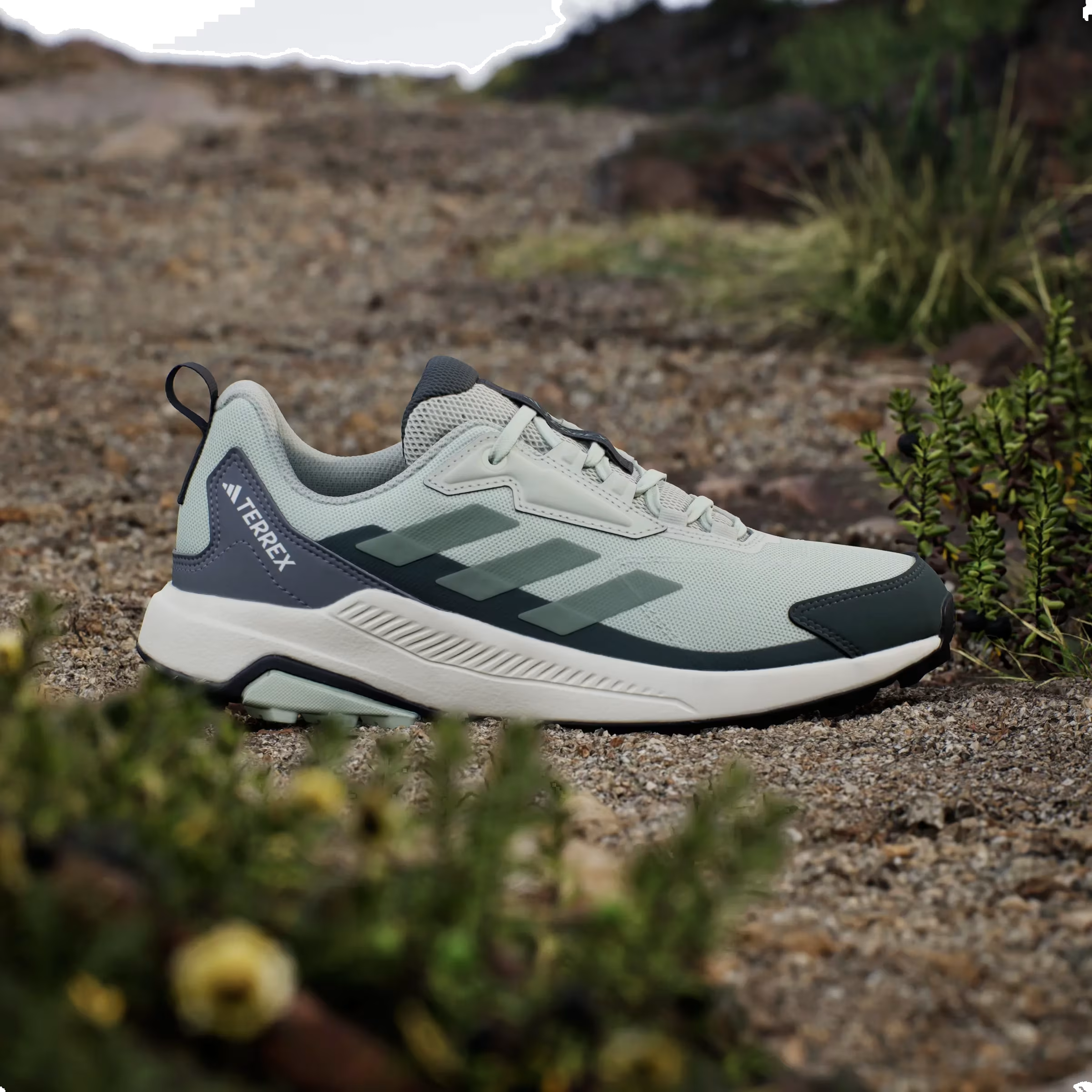 adidas Terrex Anylander Linen Green Silver Green Legend Ivy (Women's)