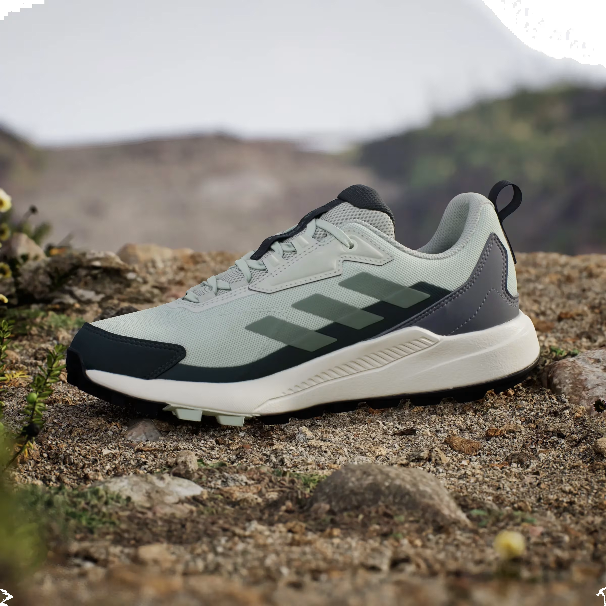 adidas Terrex Anylander Linen Green Silver Green Legend Ivy (Women's)