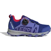 adidas Terrex Agravic BOA Trail Semi Cobalt Blue Cloud White Semi Lucid Blue (GS)