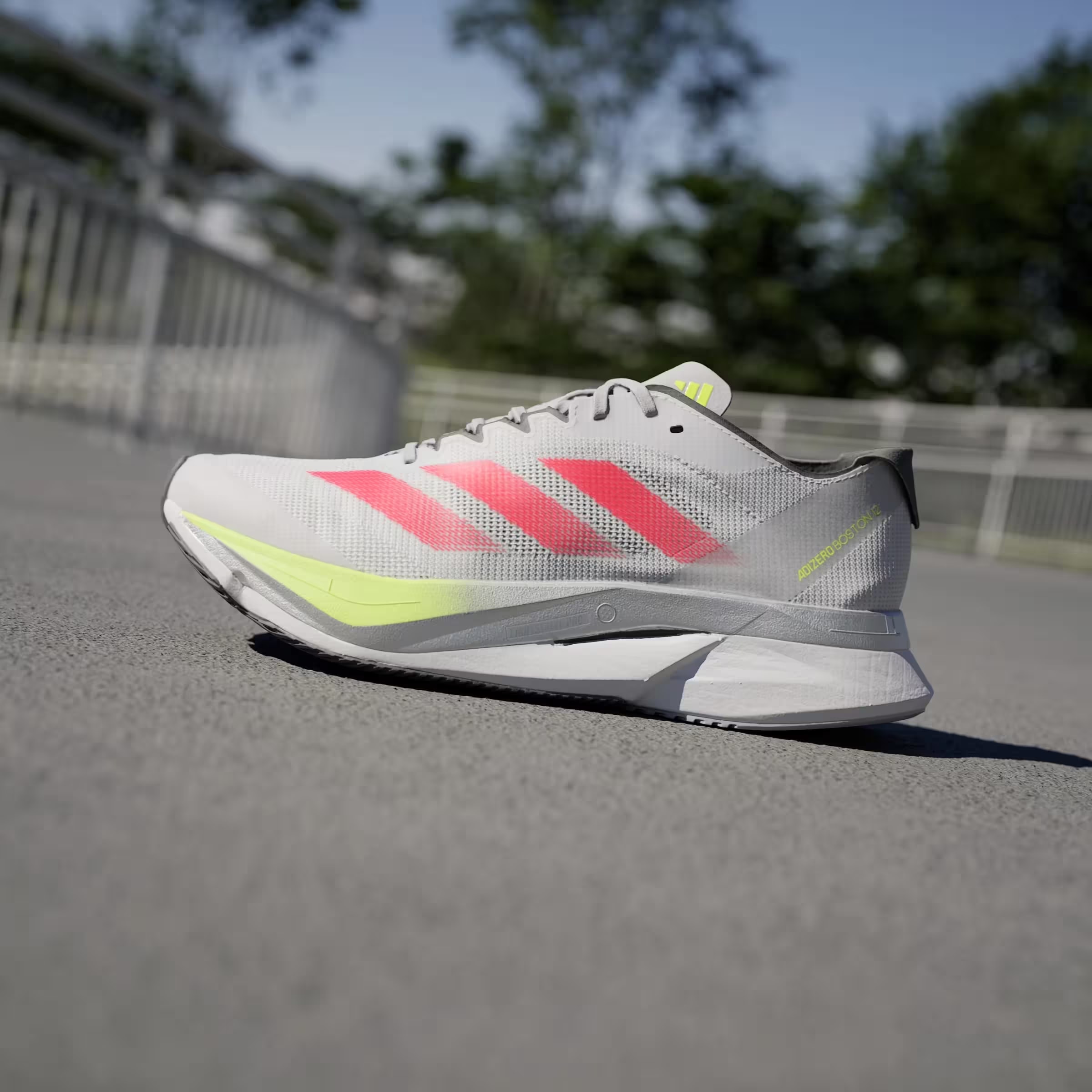 adidas Adizero Boston 12 Dash Grey Lucid Red Lucid Lemon (Women's)