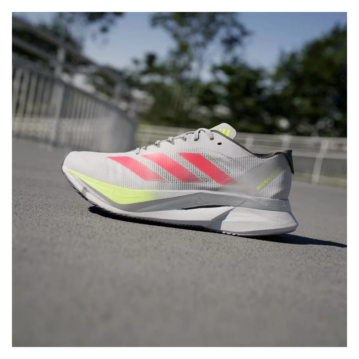 adidas Adizero Boston 12 Dash Grey Lucid Red Lucid Lemon (Women's)