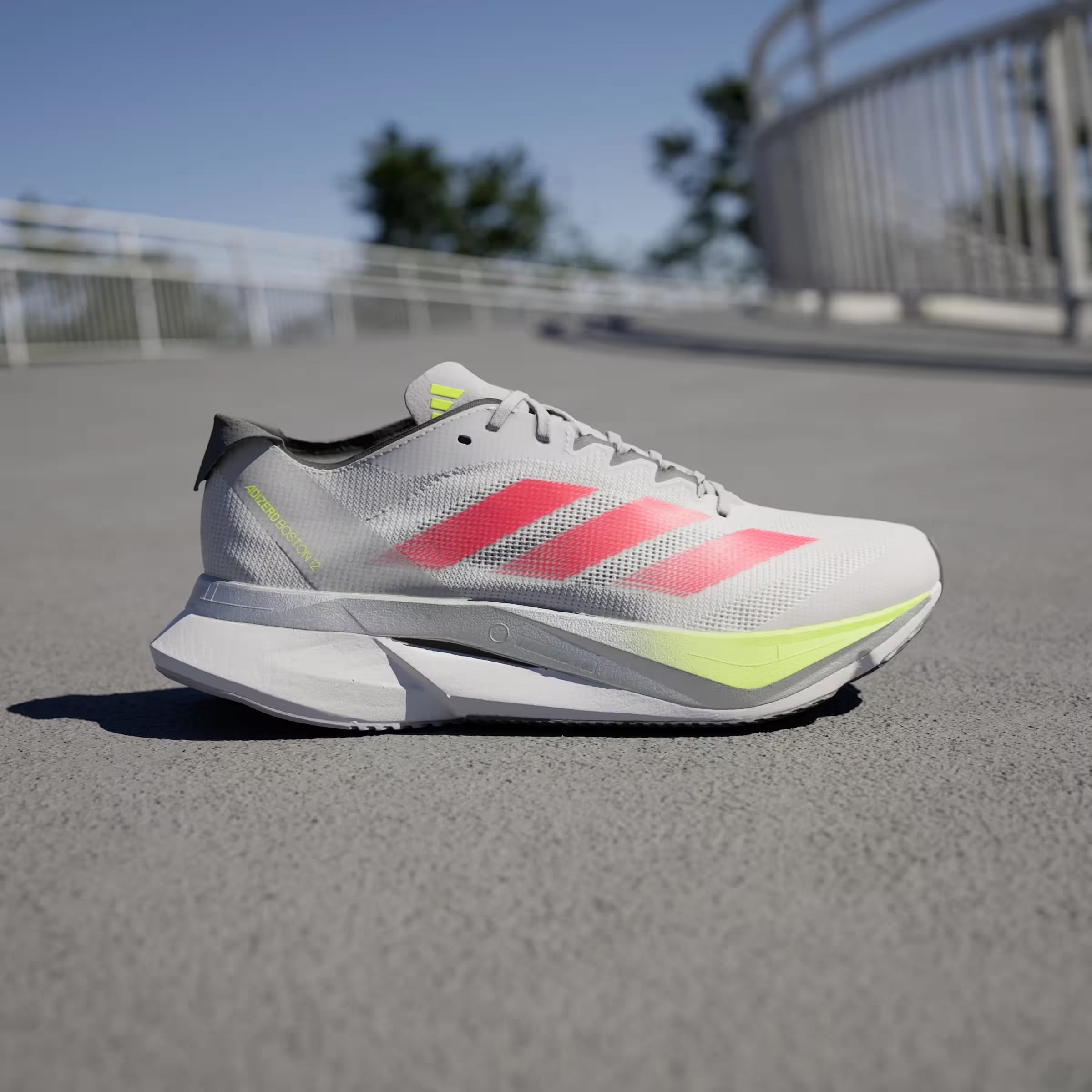 adidas Adizero Boston 12 Dash Grey Lucid Red Lucid Lemon (Women's)