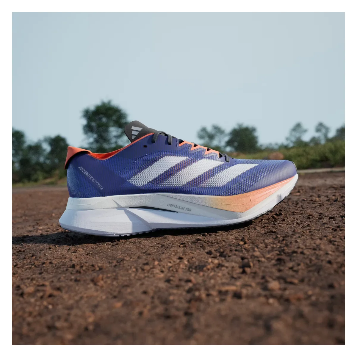 adidas Adizero Boston 12 Lucid Blue Cloud White Impact Orange