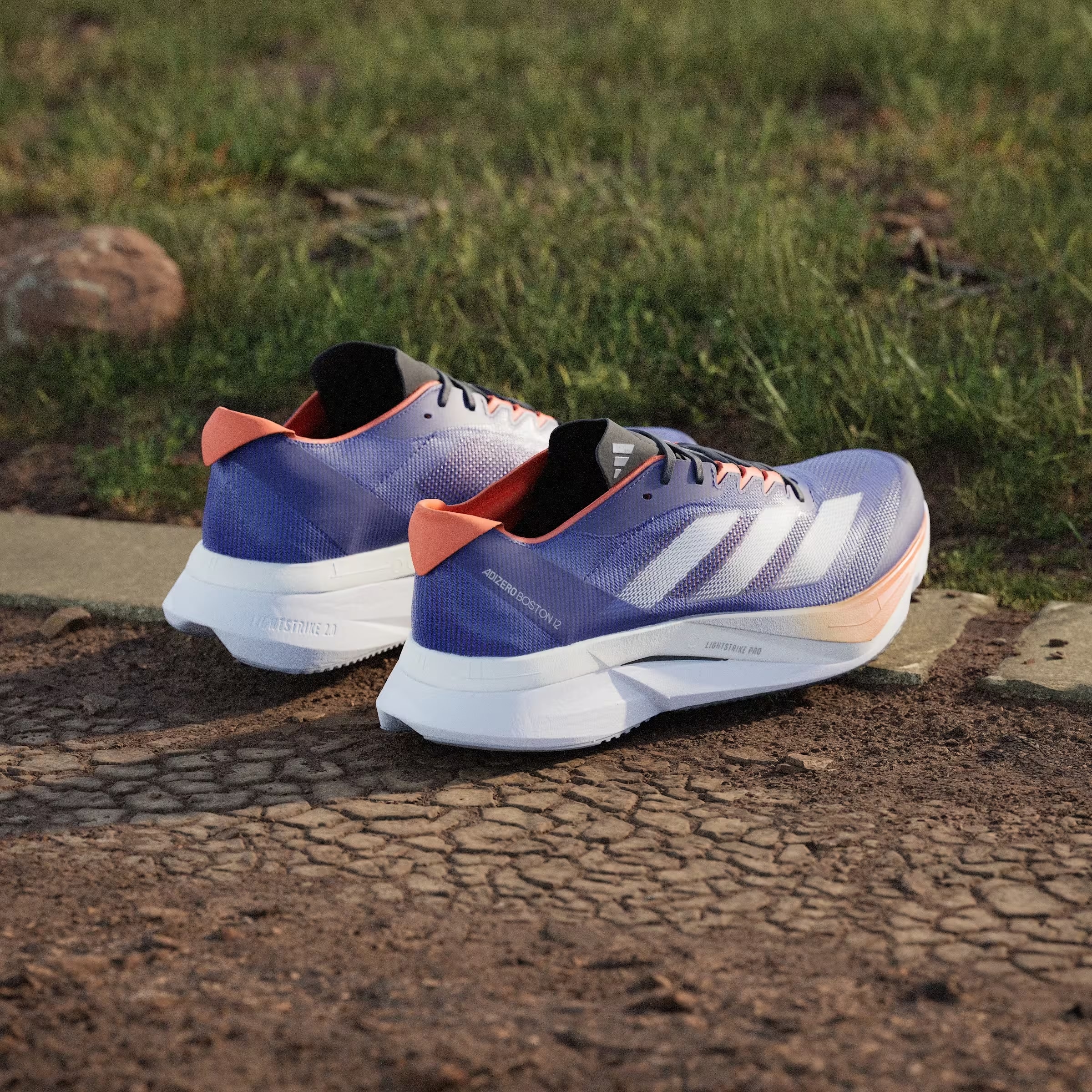 adidas Adizero Boston 12 Lucid Blue Cloud White Impact Orange