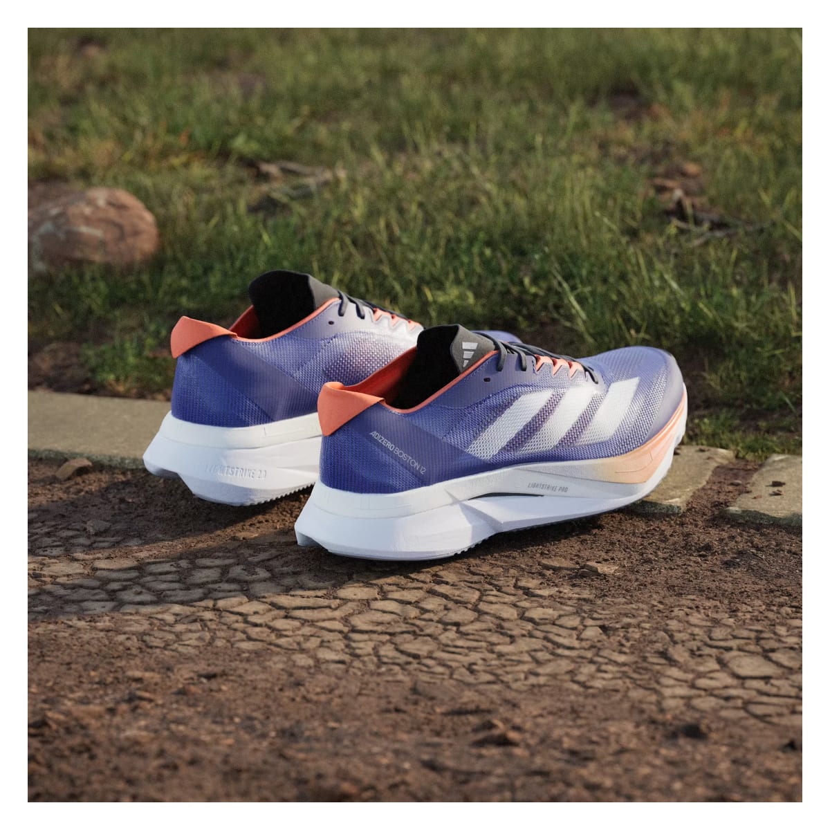adidas Adizero Boston 12 Lucid Blue Cloud White Impact Orange