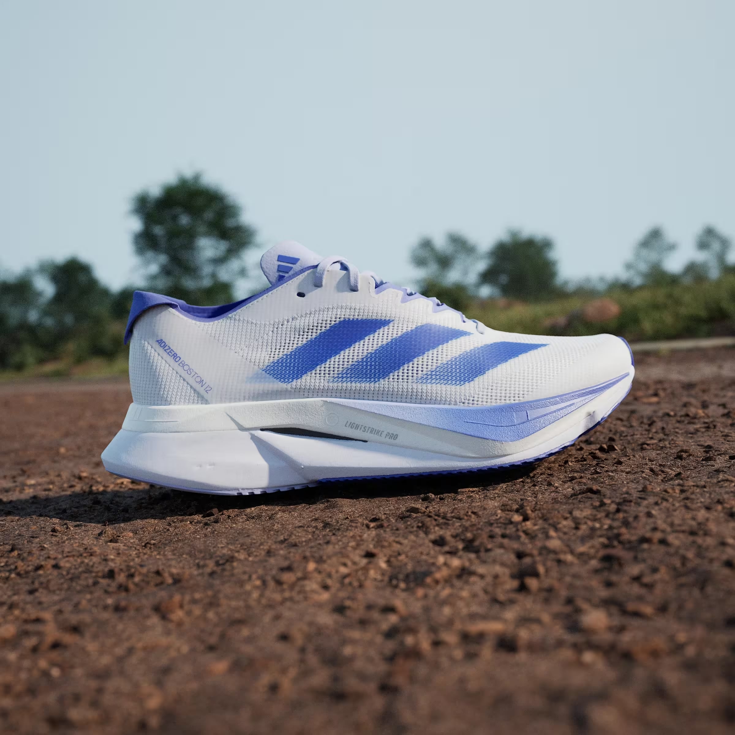 adidas Adizero Boston 12 Cloud White Lucid Blue Cobalt Blue (Women's)