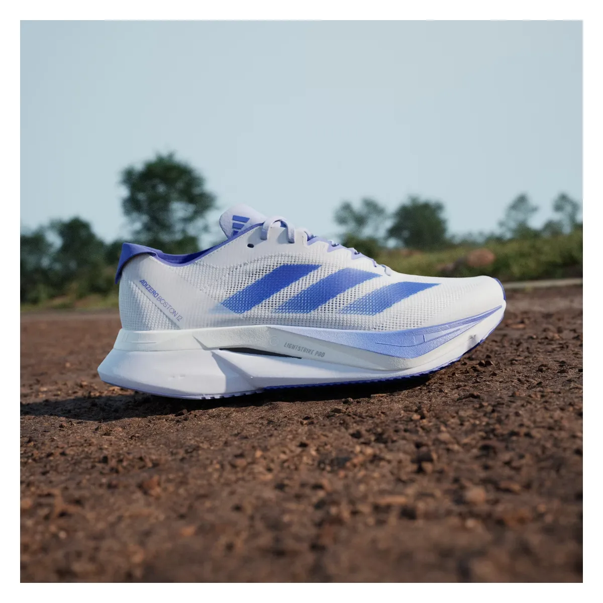 adidas Adizero Boston 12 Cloud White Lucid Blue Cobalt Blue (Women's)
