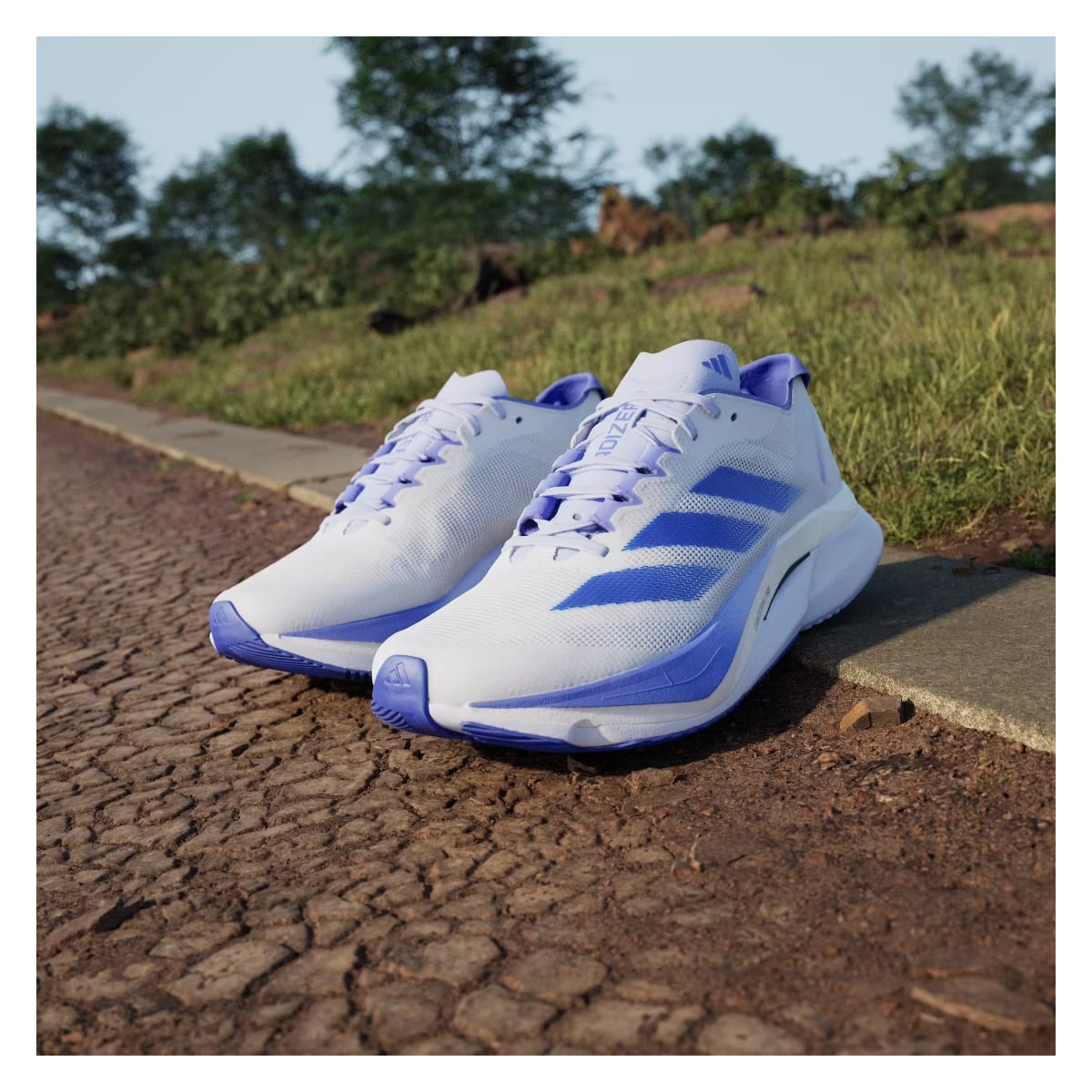 adidas Adizero Boston 12 Cloud White Lucid Blue Cobalt Blue (Women's)