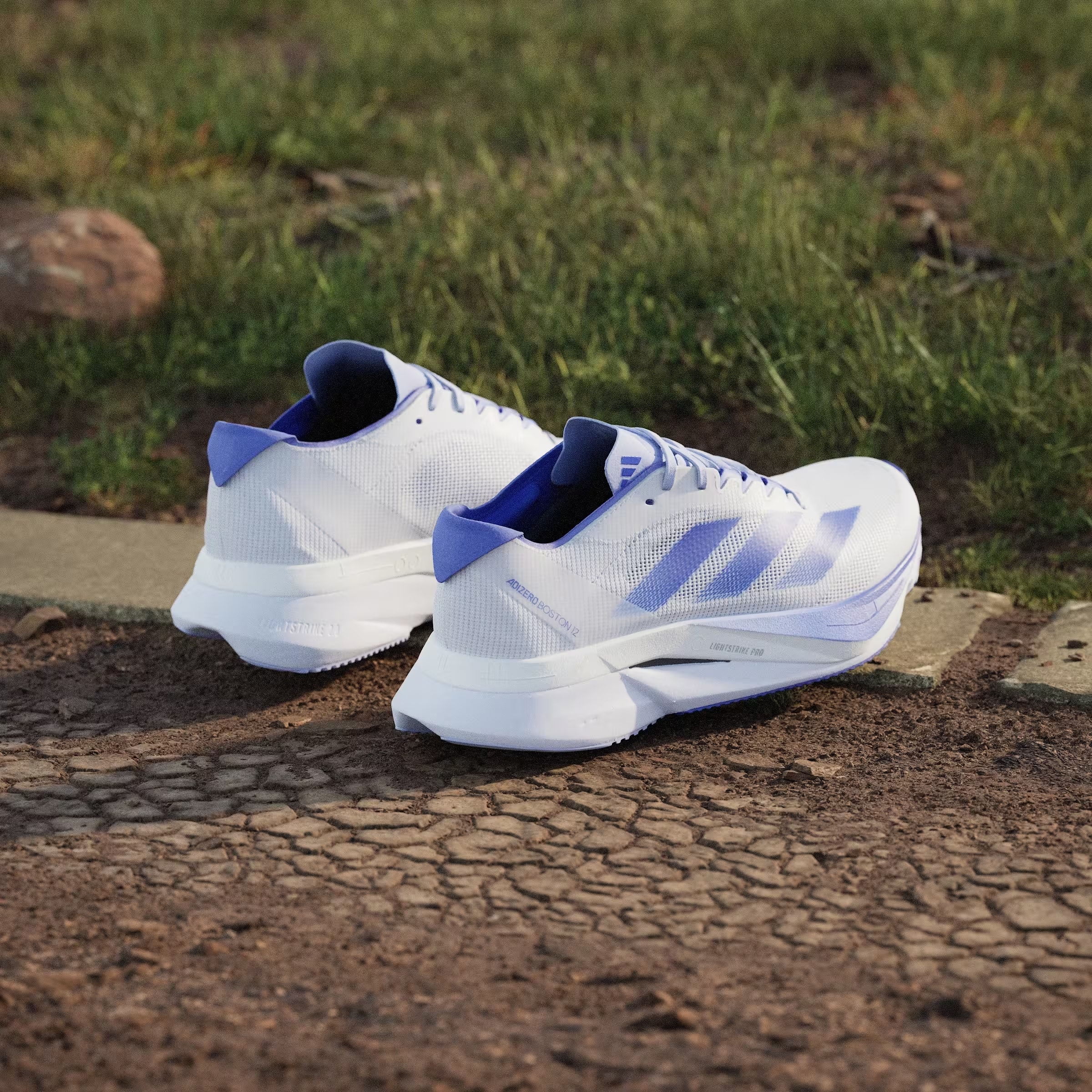 adidas Adizero Boston 12 Cloud White Lucid Blue Cobalt Blue (Women's)