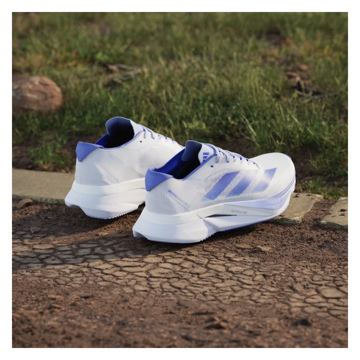 adidas Adizero Boston 12 Cloud White Lucid Blue Cobalt Blue (Women's)