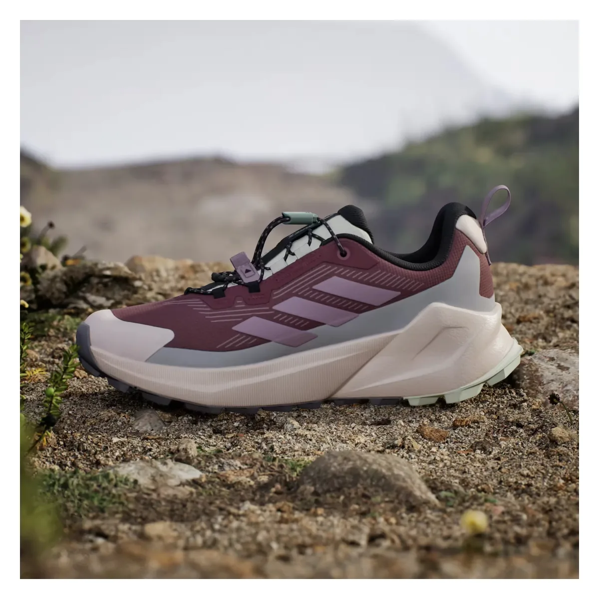 adidas Terrex Trailmaker 2 Gore-Tex Speed Burgundy Preloved Fig Grey Two (Women's)
